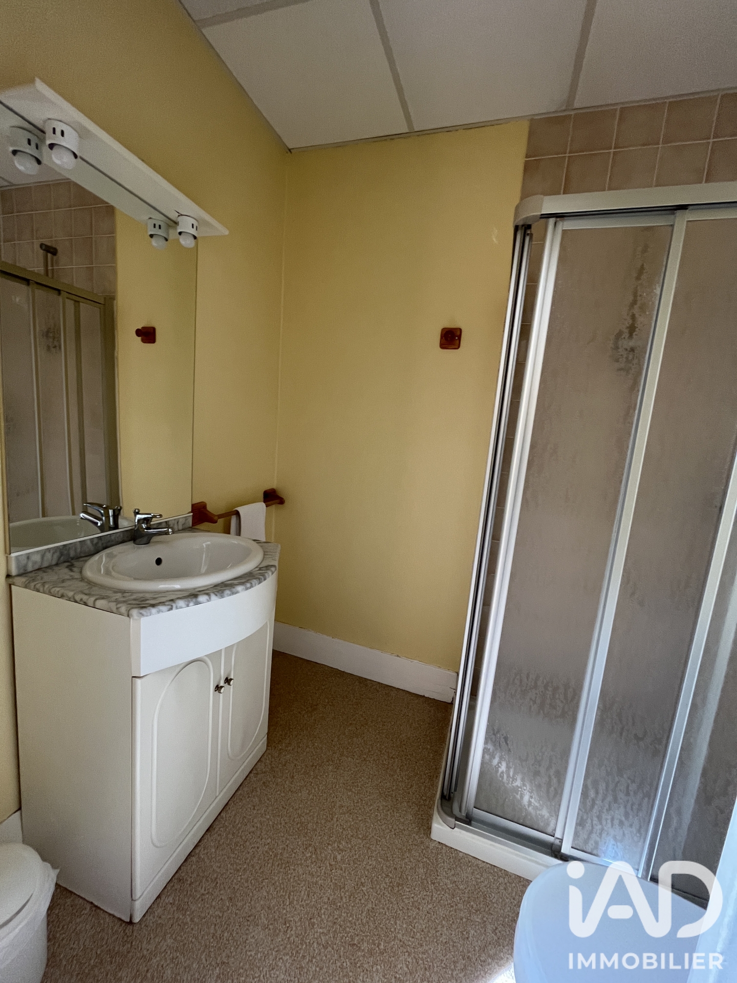 Vente immeuble 440 m² à Mont-Dore (63240) - 2105036 — 19