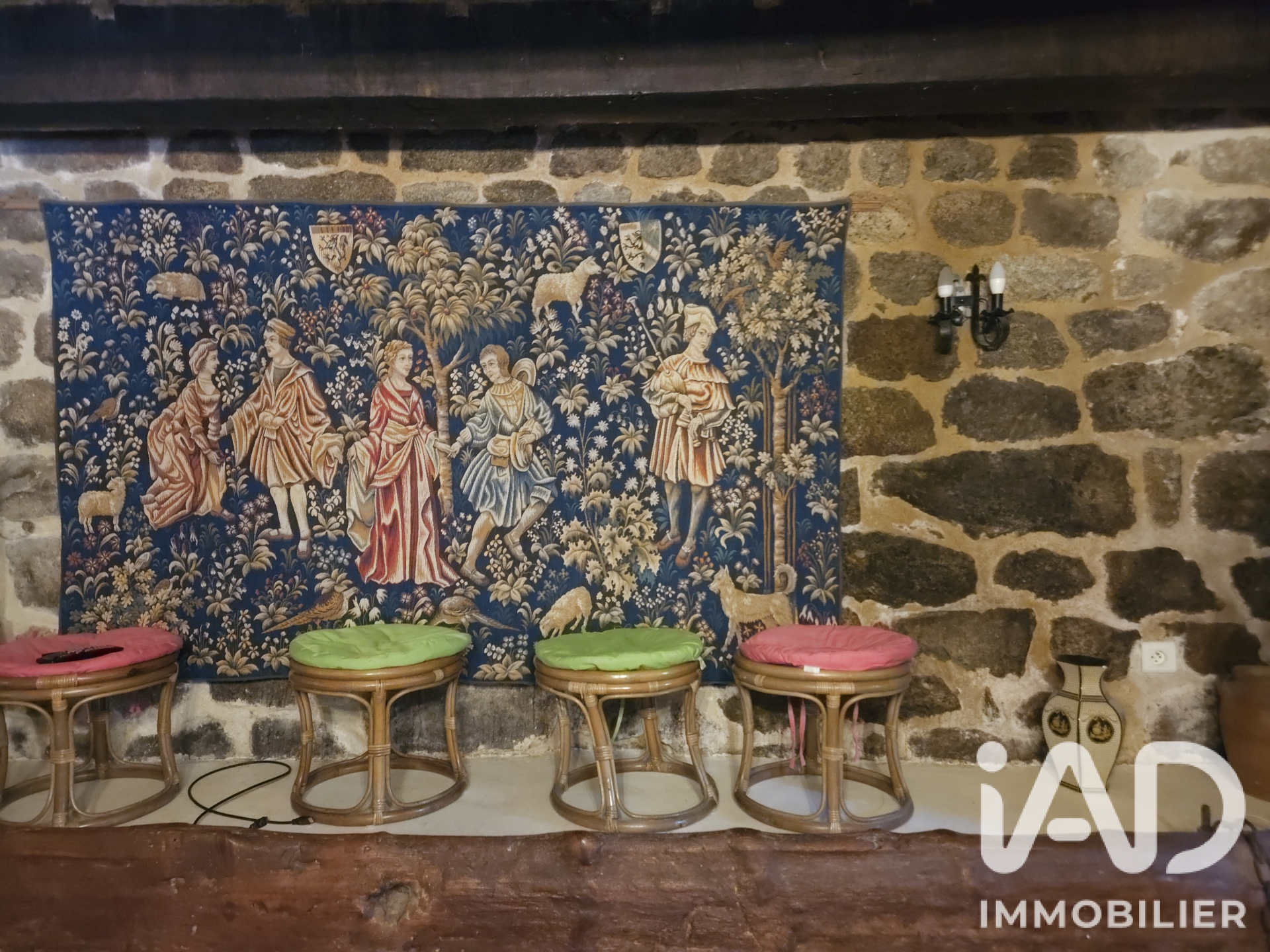 Vente maison à Saint-Félicien (07410) : maison 25 pièces 719 m² - 2101605 — 18