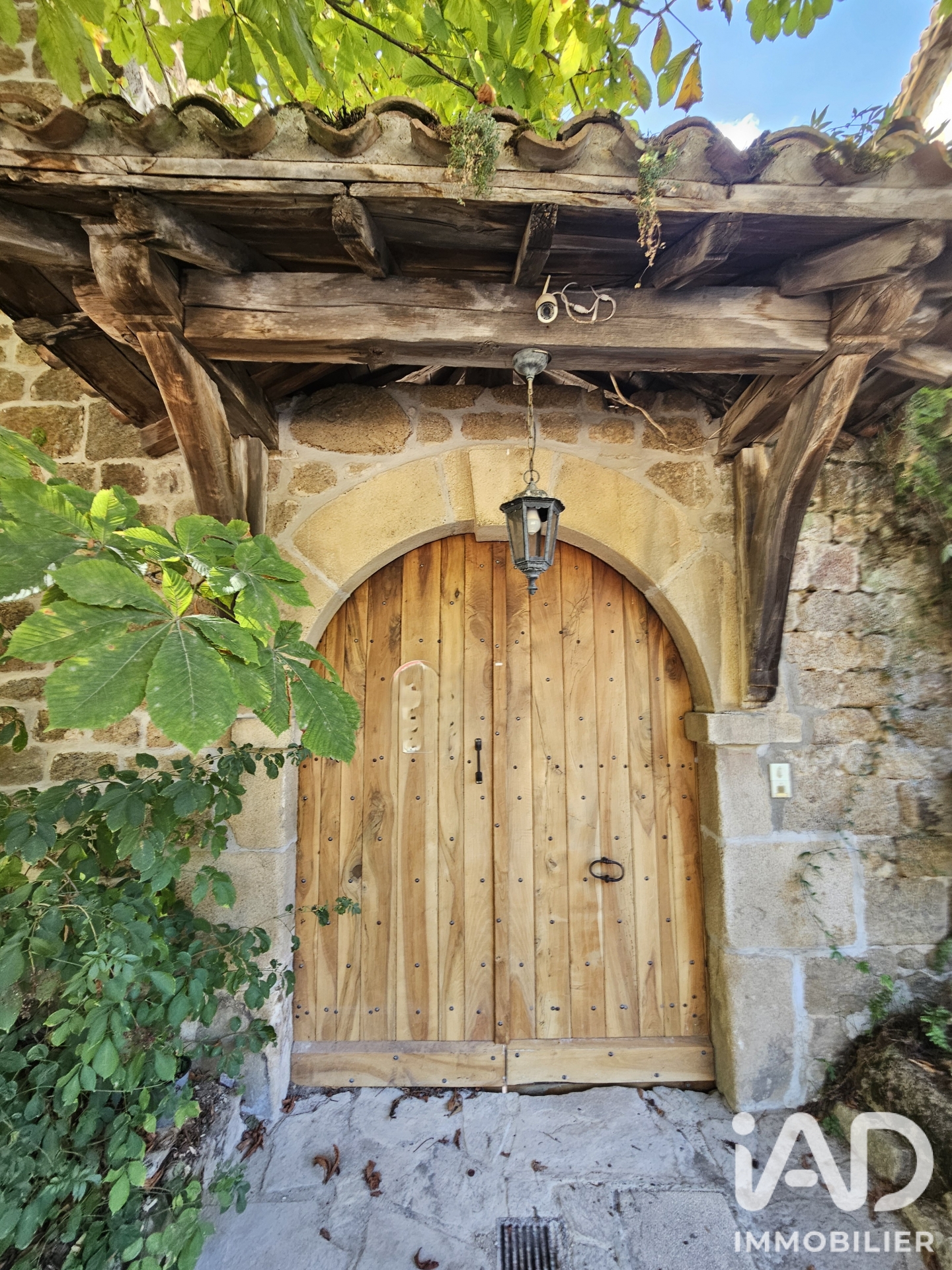 Vente maison à Saint-Félicien (07410) : maison 25 pièces 719 m² - 2101605 — 12