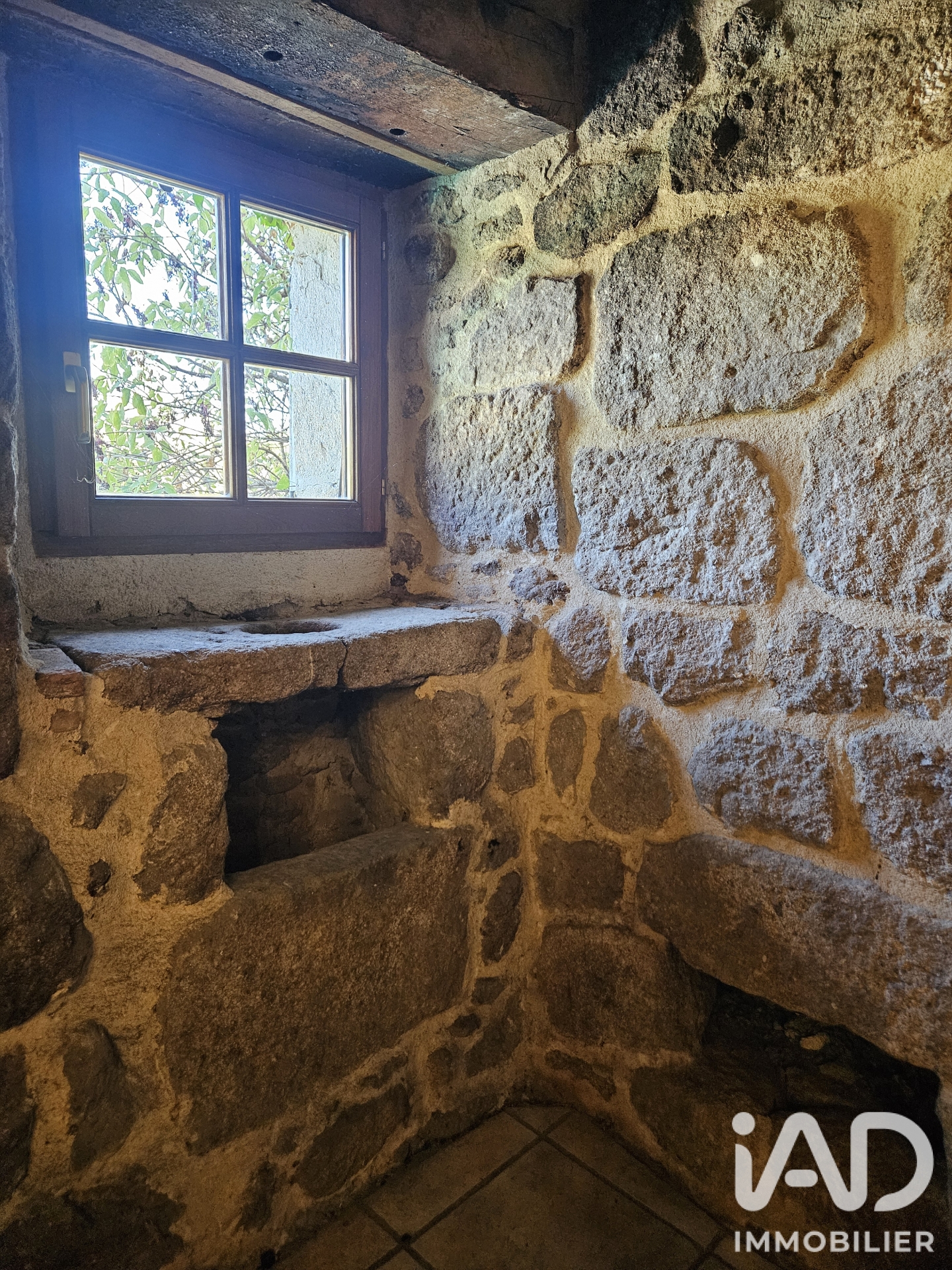 Vente maison à Saint-Félicien (07410) : maison 25 pièces 719 m² - 2101605 — 26