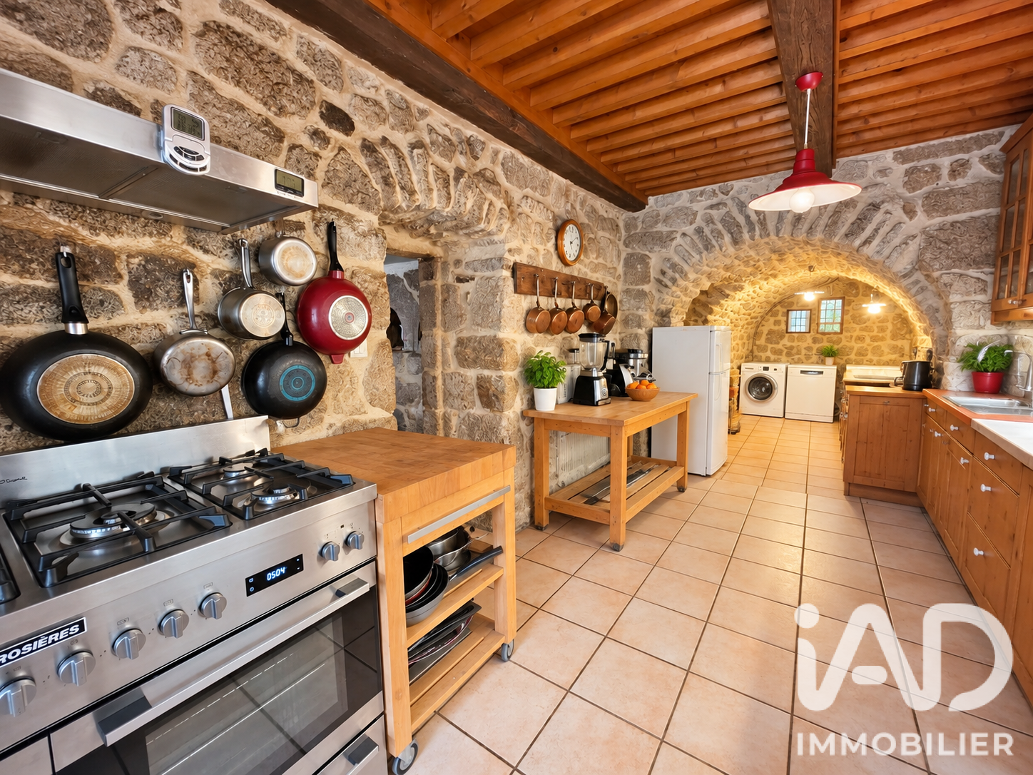 Vente maison à Saint-Félicien (07410) : maison 25 pièces 719 m² - 2101605 — 6
