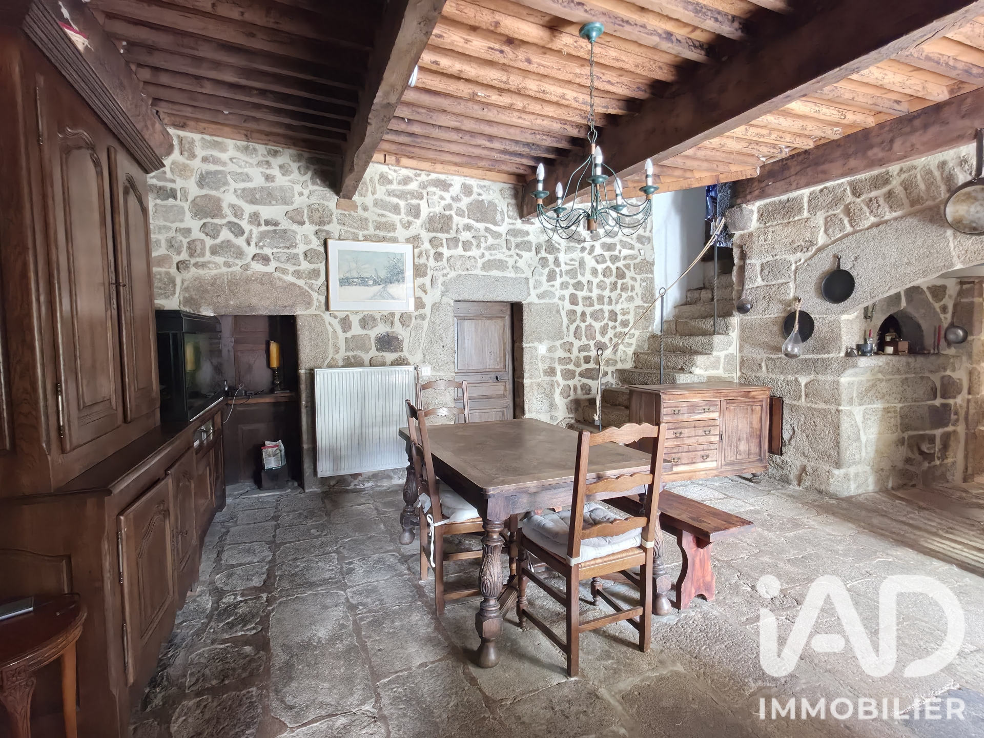 Vente maison à Saint-Félicien (07410) : maison 25 pièces 719 m² - 2101605 — 4