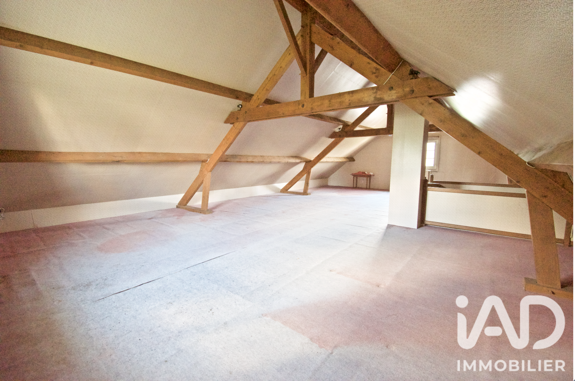 Vente maison à Sermaises (45300) : maison 5 pièces 162 m² - 2105260 — 22