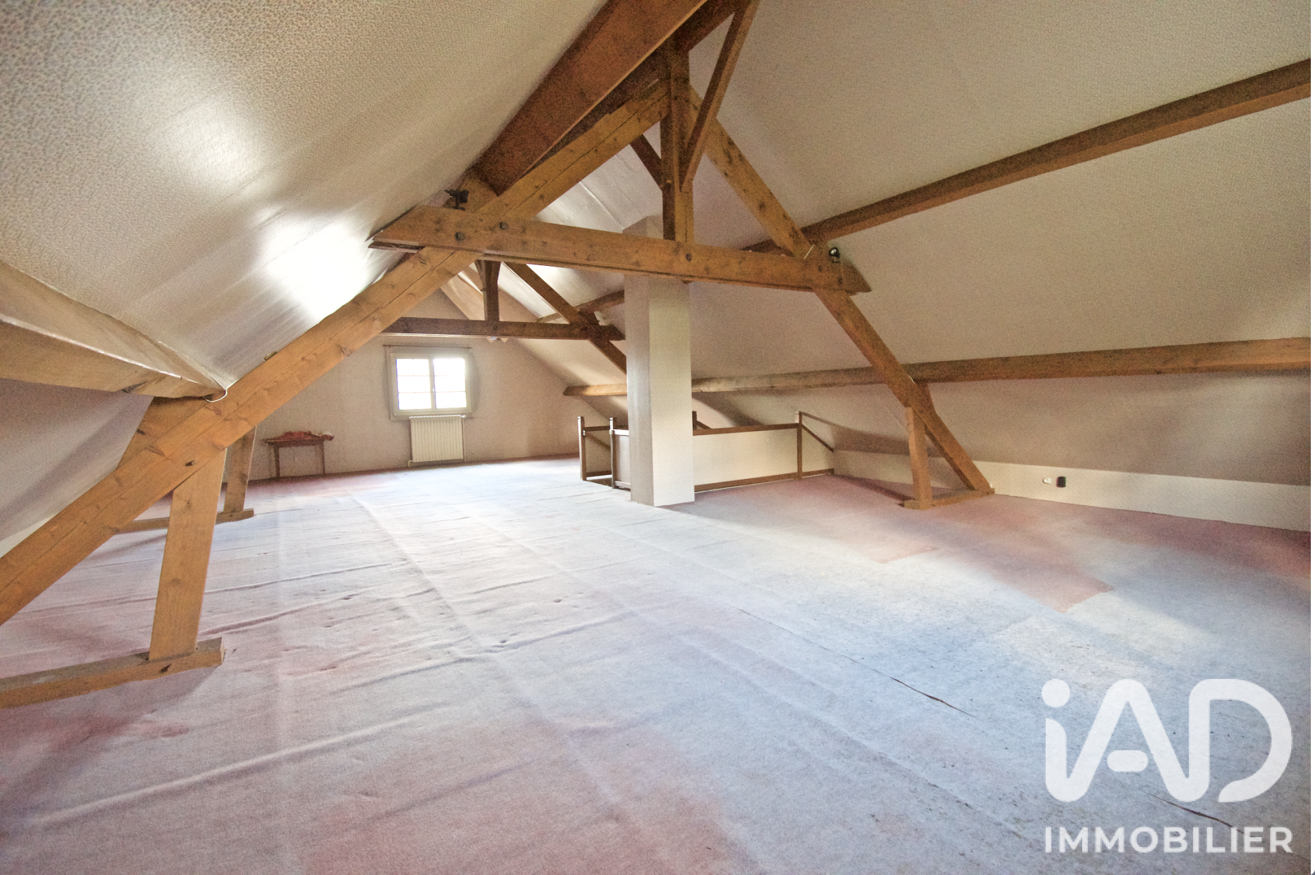 Vente maison à Sermaises (45300) : maison 5 pièces 162 m² - 2105260 — 21