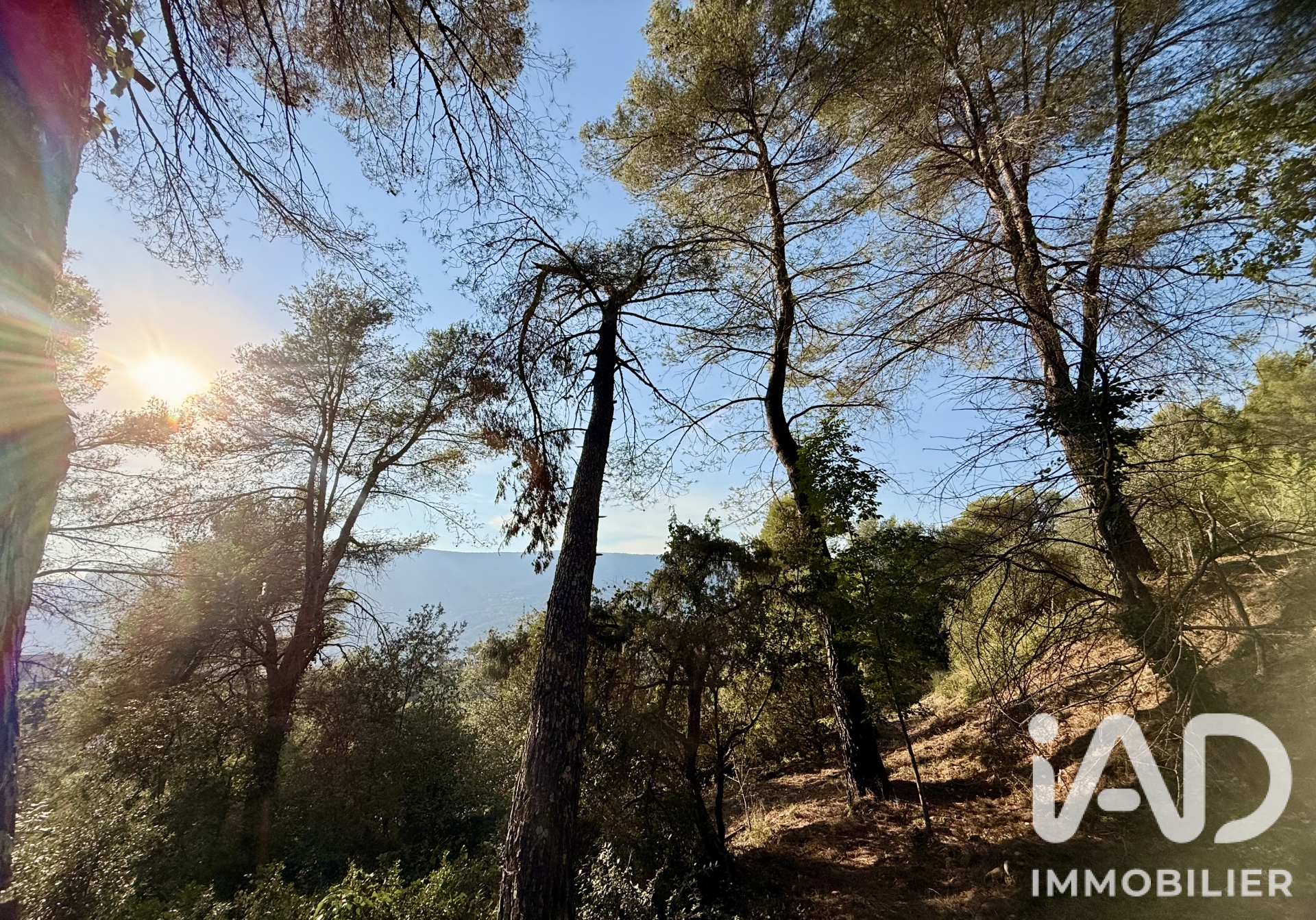 Vente maison à Colomars (06670) : maison 6 pièces 152 m² - 2099164 — 20