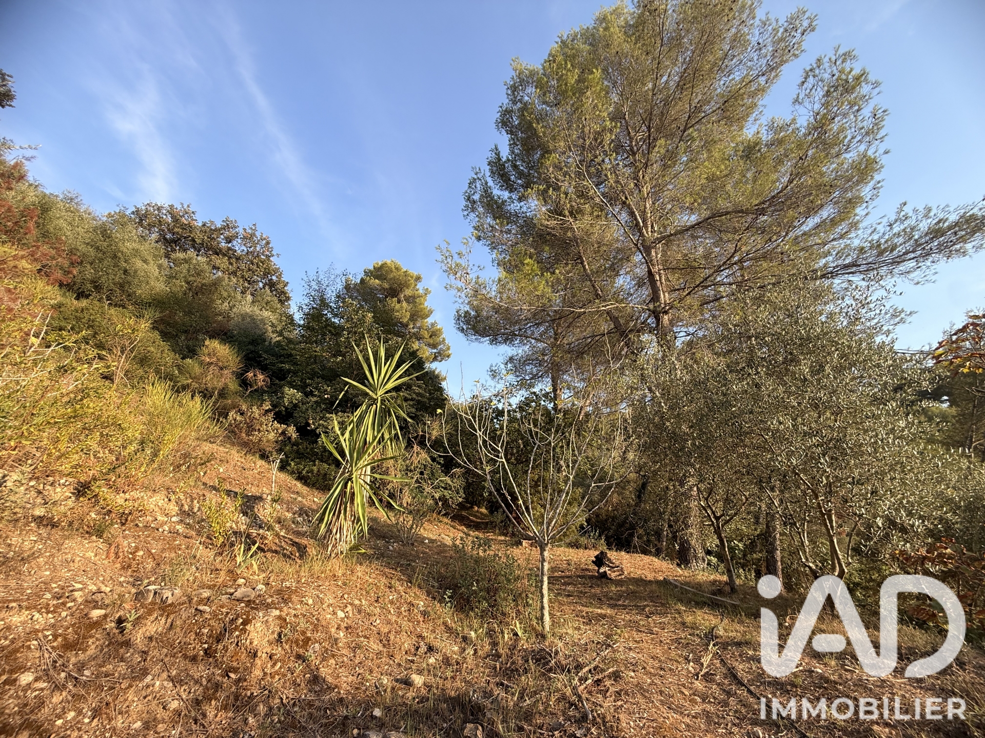 Vente maison à Colomars (06670) : maison 6 pièces 152 m² - 2099164 — 12