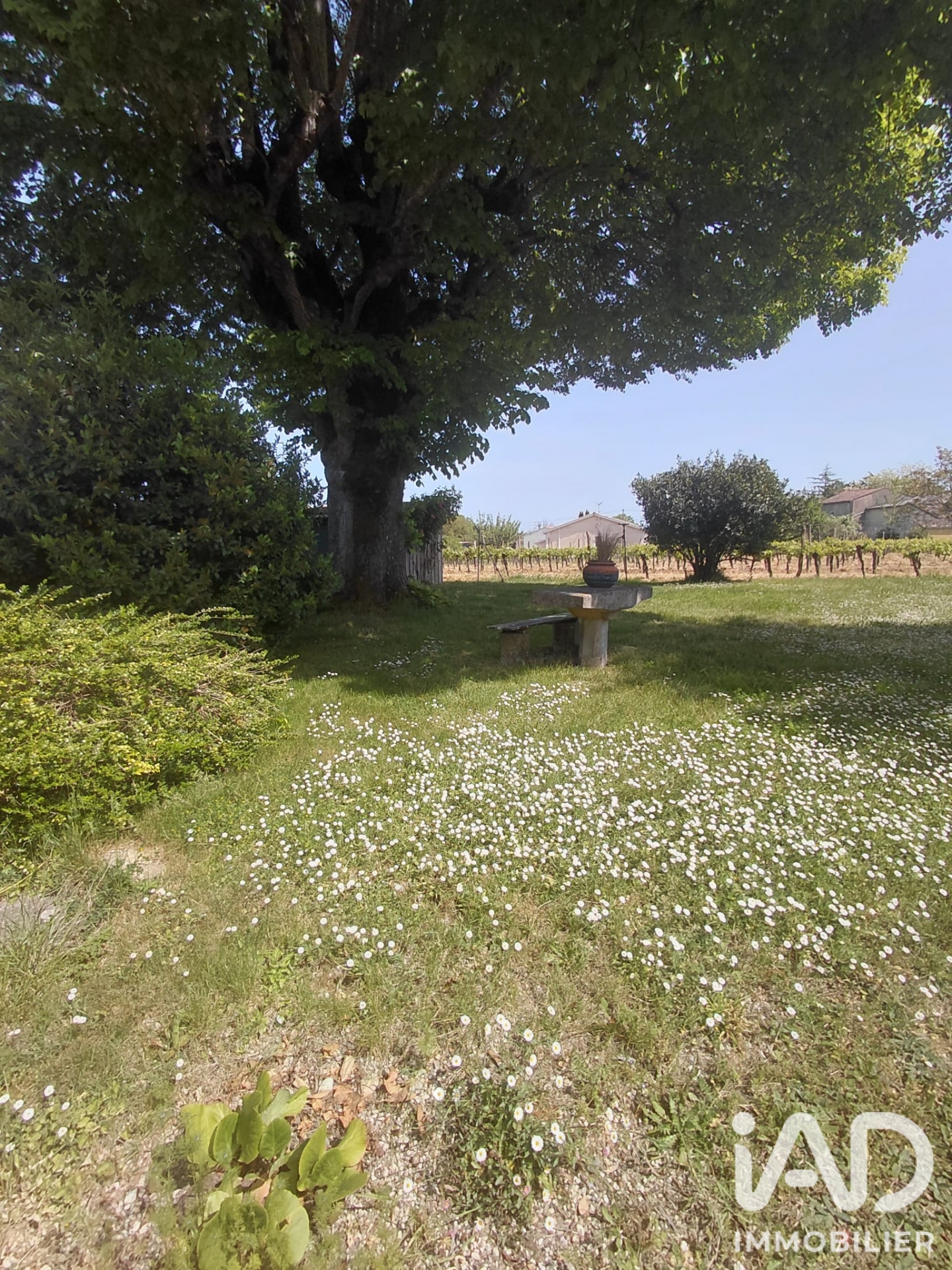 Vente maison à Saint-Quentin-de-Baron (33750) : longère 10 pièces 280 m² - 2105295 — 15