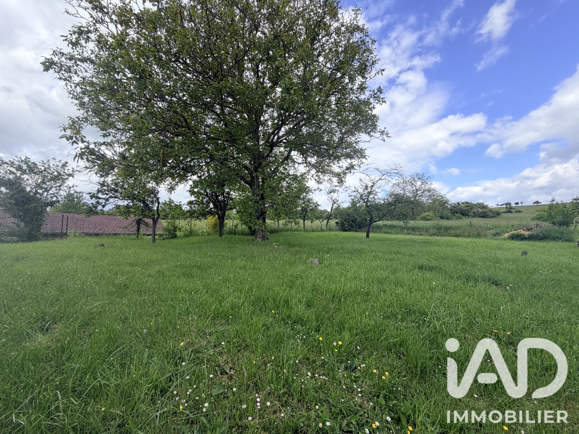Vente maison à Servigny-lès-Raville (57530) : maison de village 5 pièces 148 m² - 2104901 — 26