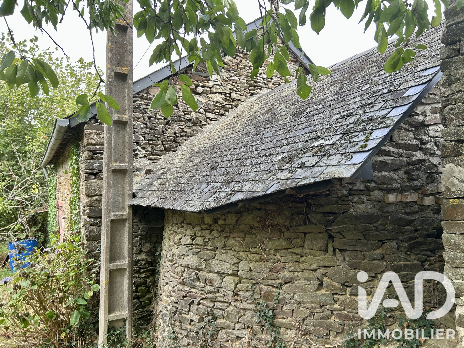 Vente maison à Javron-les-Chapelles (53250) : maison de village 7 pièces 212 m² - 2095902 — 22