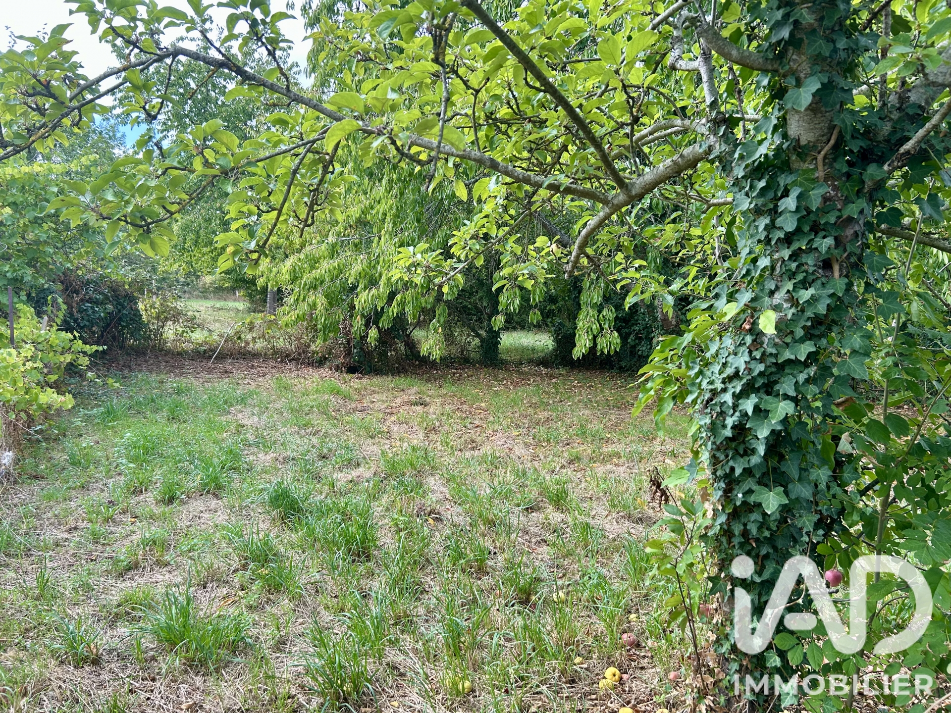 Vente maison à Javron-les-Chapelles (53250) : maison de village 7 pièces 212 m² - 2095902 — 18