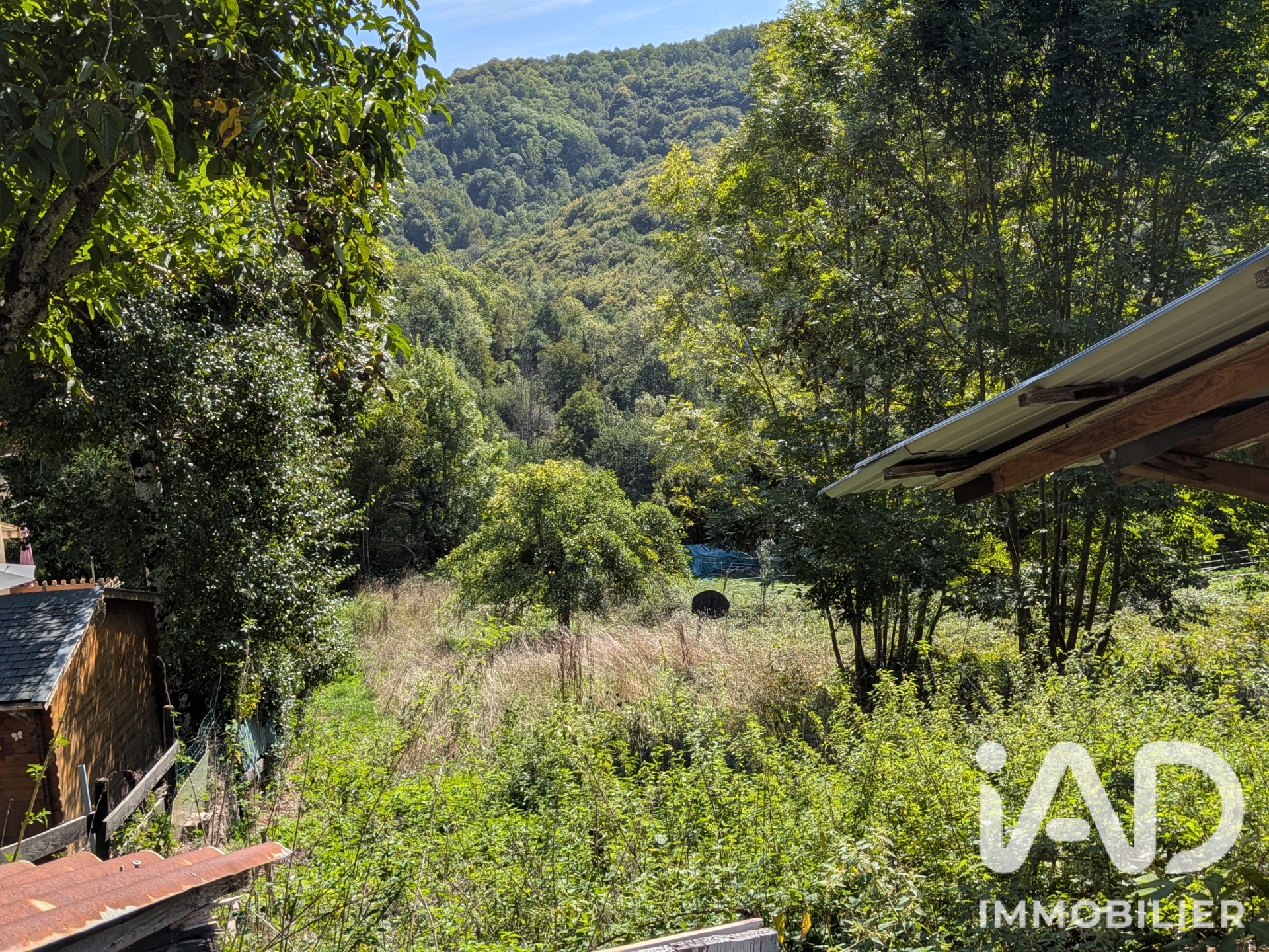 Vente maison à Aleu (09320) : maison de village 3 pièces 66 m² — 19