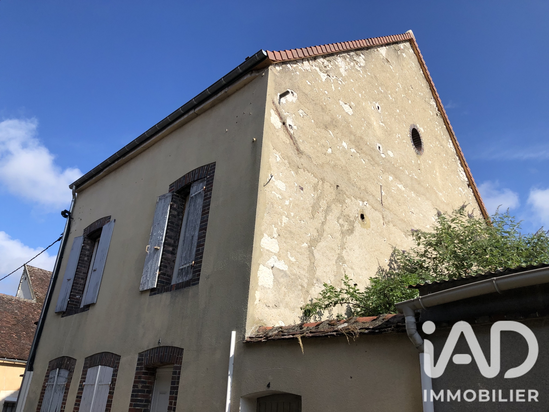Vente maison à Brienon-sur-Armançon (89210) : maison de village 4 pièces 165 m² - 2109967 — 16