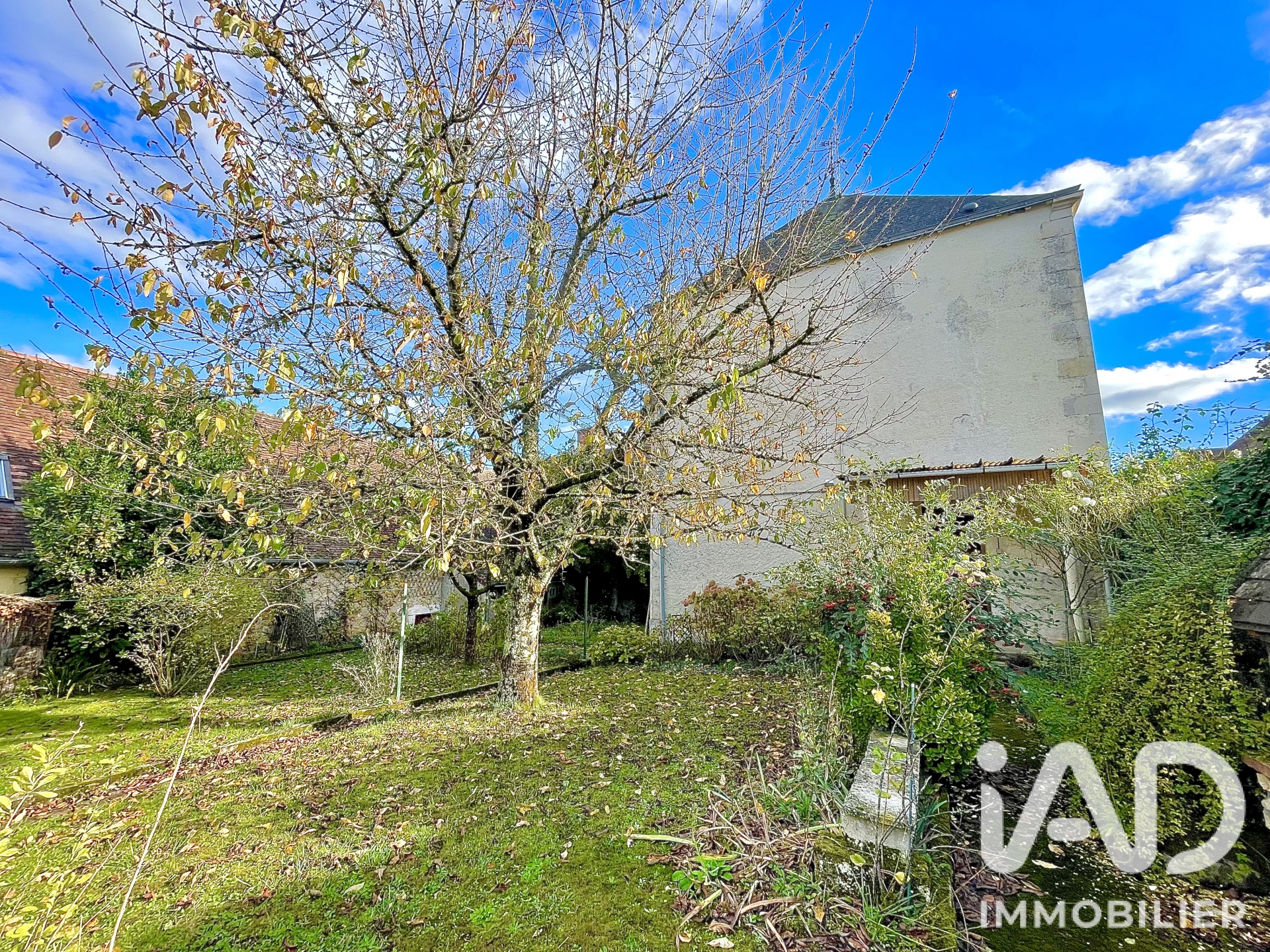 Vente maison à La Trimouille (86290) : maison de village 3 pièces 106 m² - 2106390 — 21
