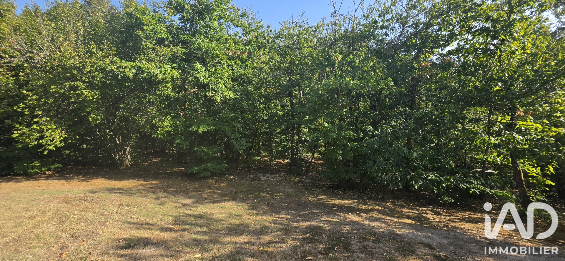 Vente maison à Eyraud-Crempse-Maurens (24140) : maison 5 pièces 100 m² - 2107250 — 12