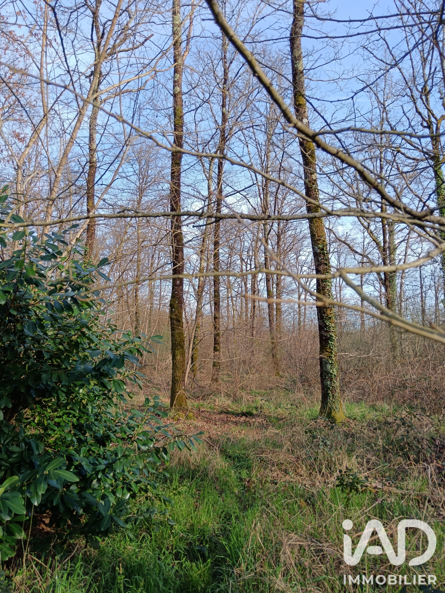 Vente Terrain 24 045 m²