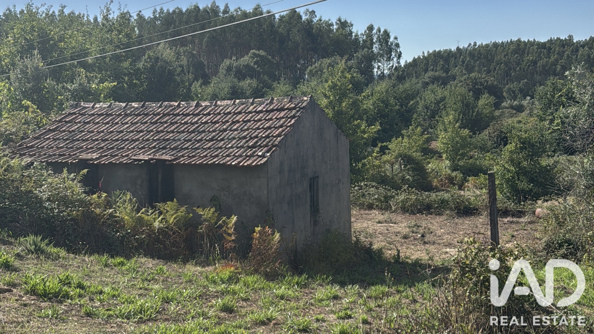 Moradia T0 em Graça, €29.000
