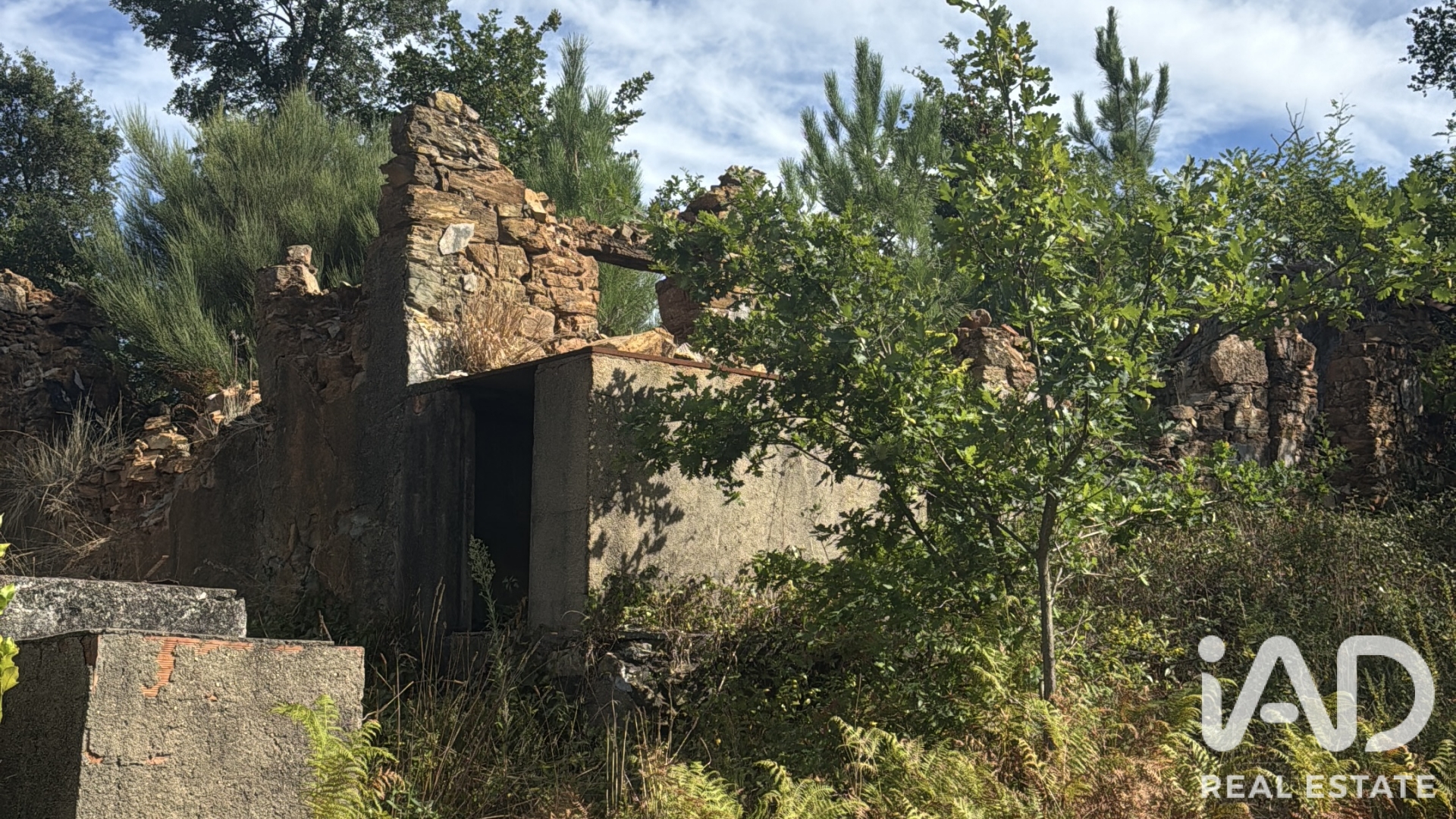 Moradia T0 à venda em Graça, Pedrógão Grande — foto 6