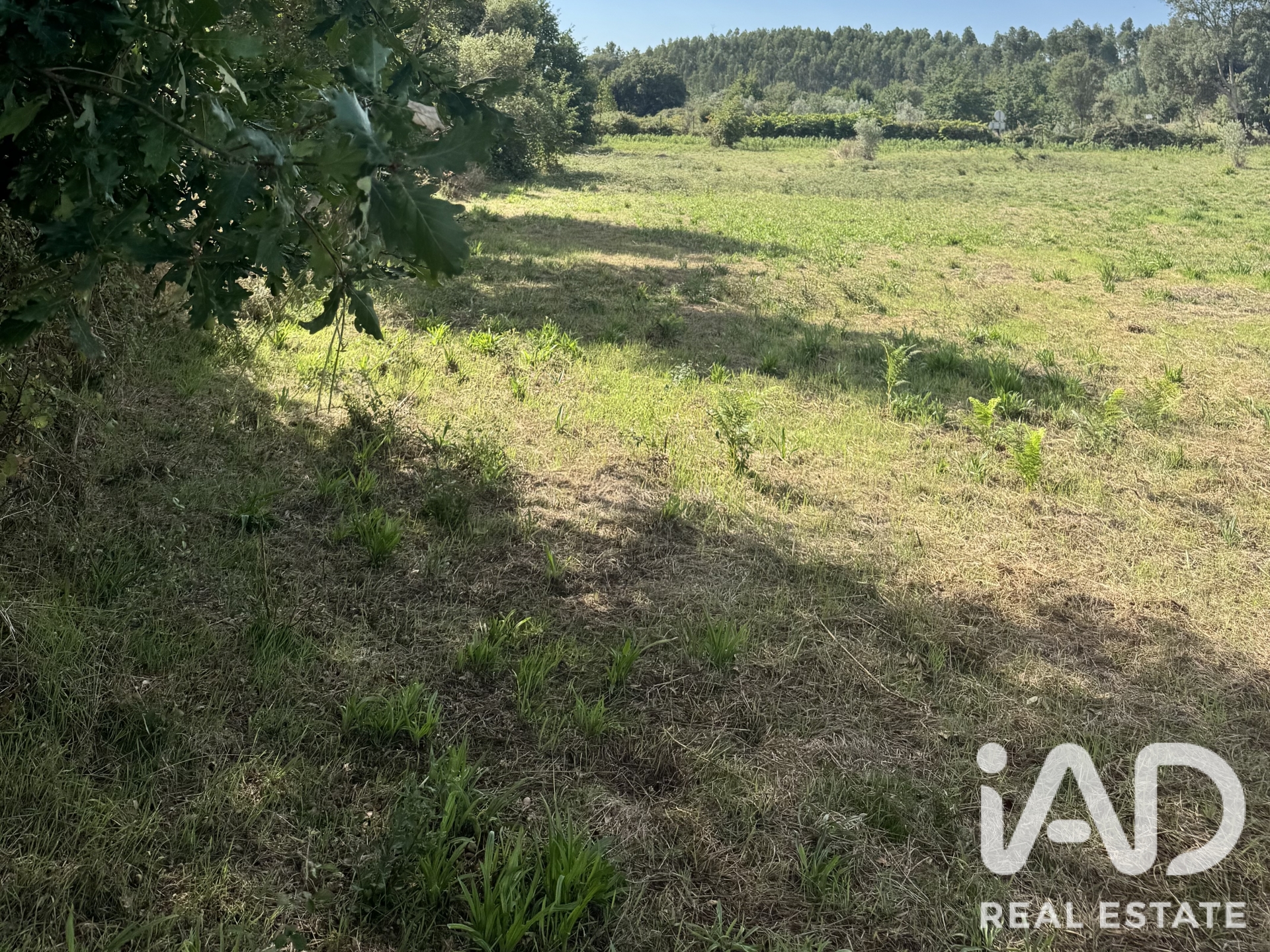 Moradia T0 à venda em Graça, Pedrógão Grande — foto 5