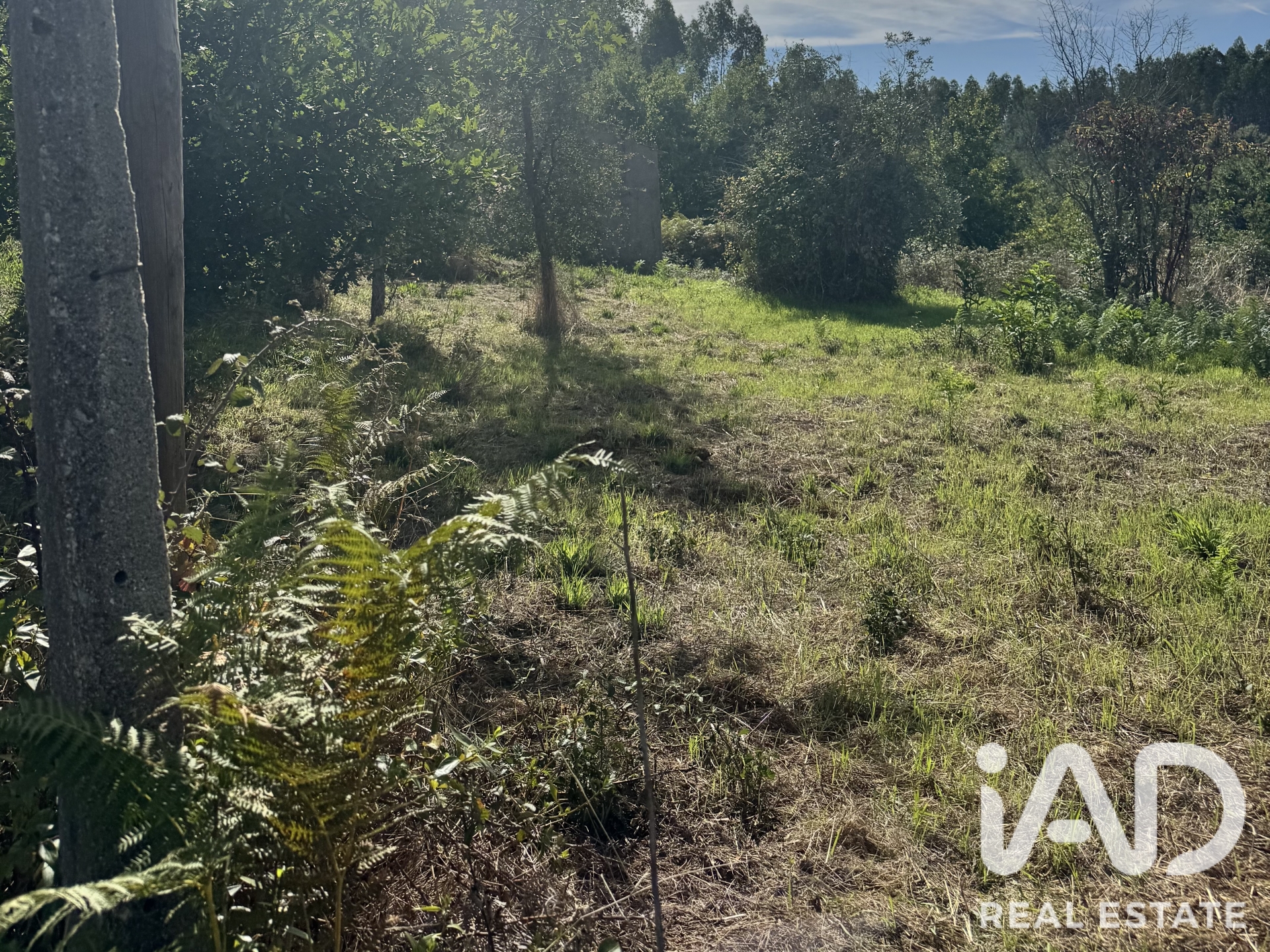Moradia T0 à venda em Graça, Pedrógão Grande — foto 8