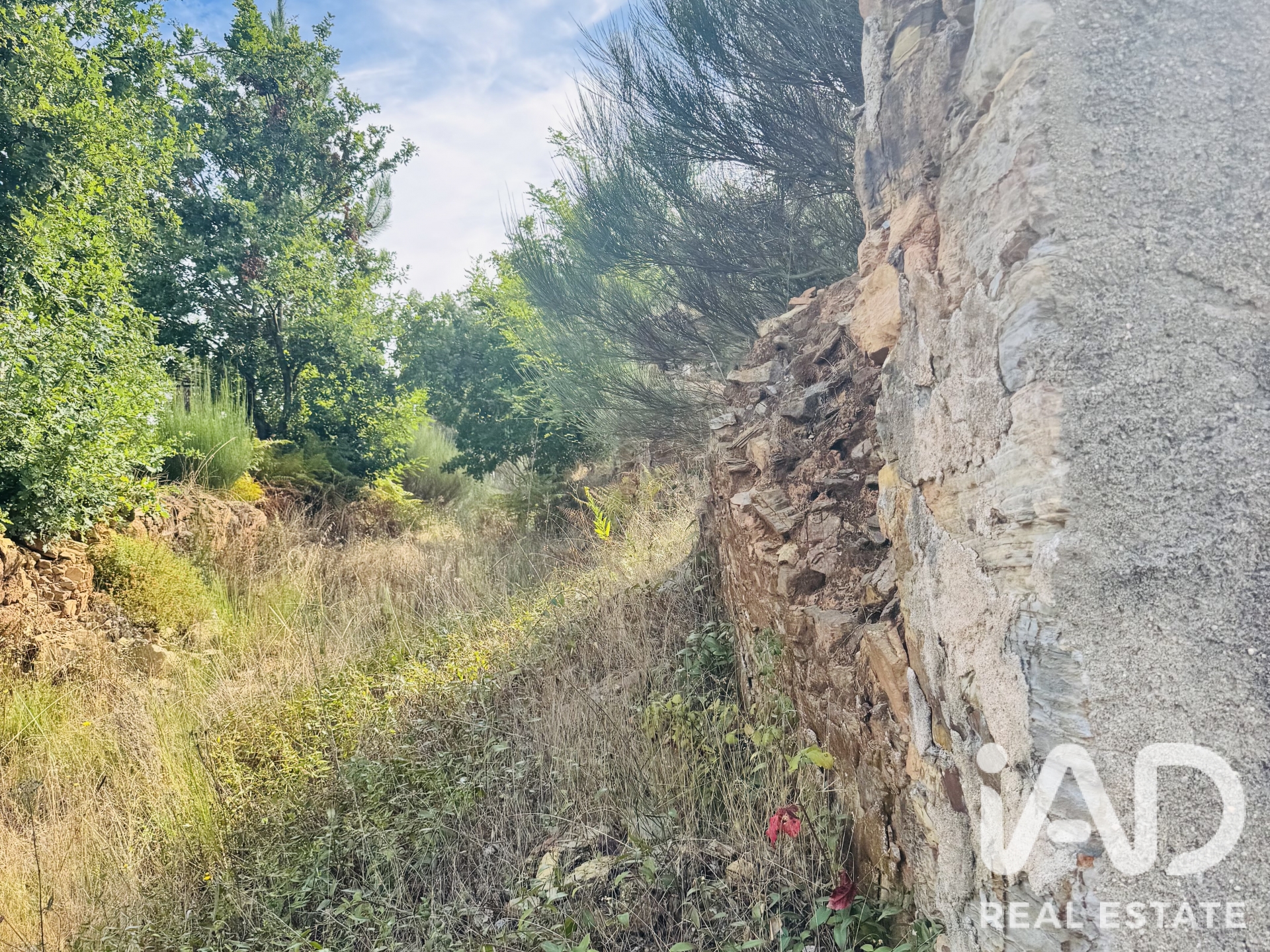 Moradia T0 à venda em Graça, Pedrógão Grande — foto 12