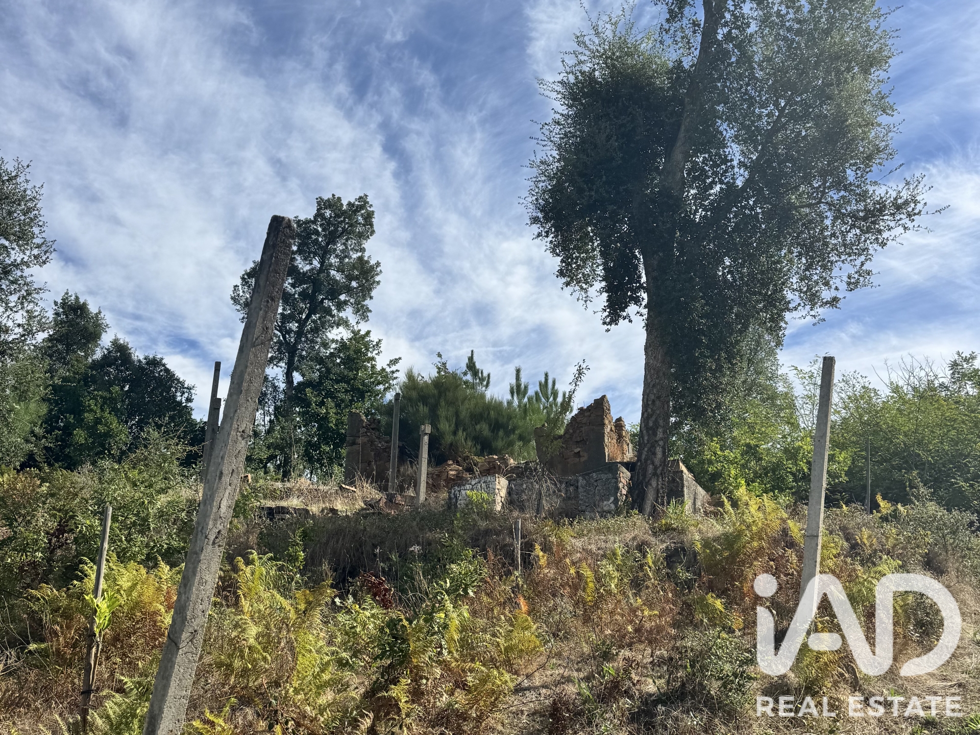Moradia T0 à venda em Graça, Pedrógão Grande — foto 9