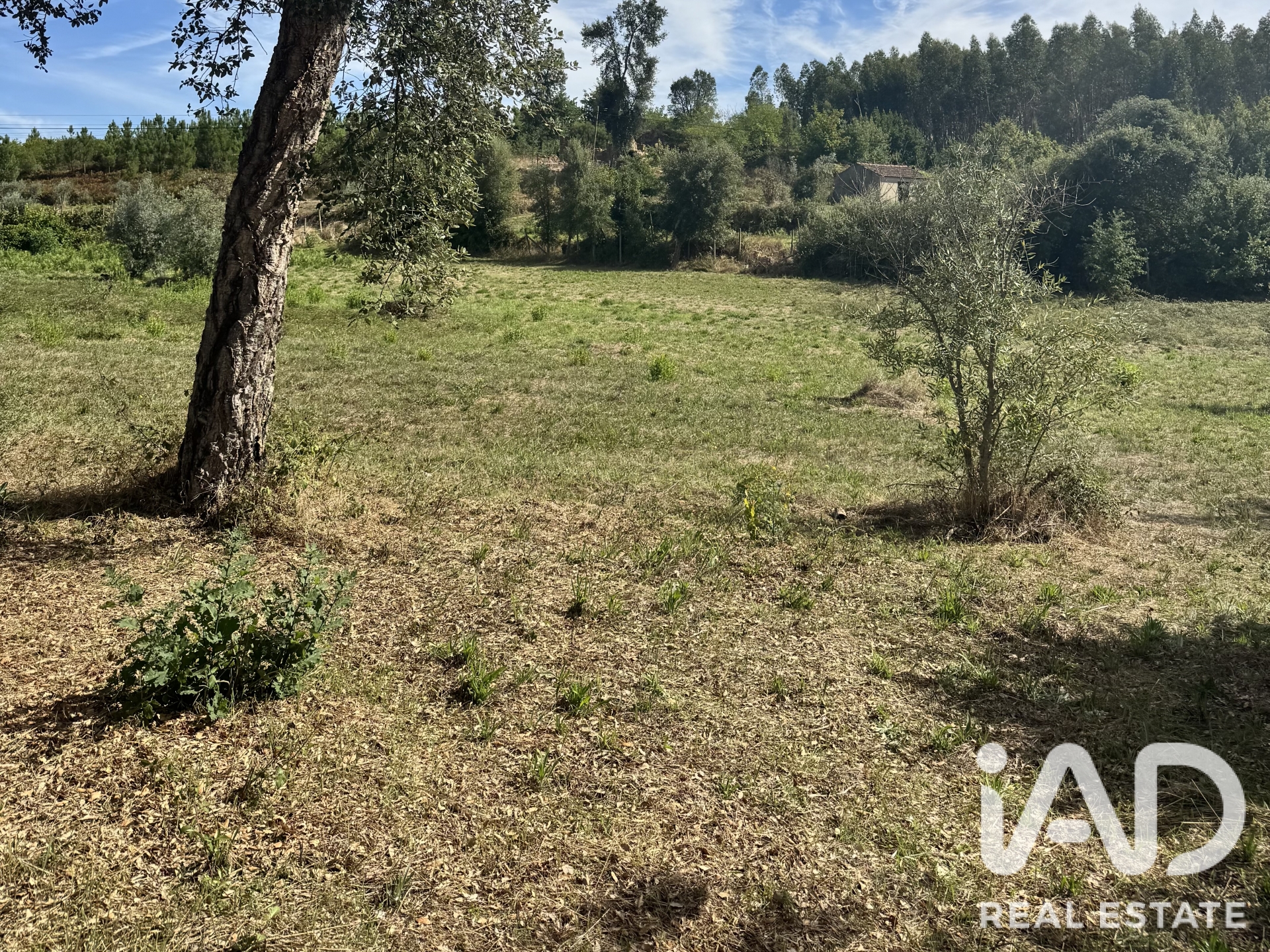 Moradia T0 à venda em Graça, Pedrógão Grande — foto 7