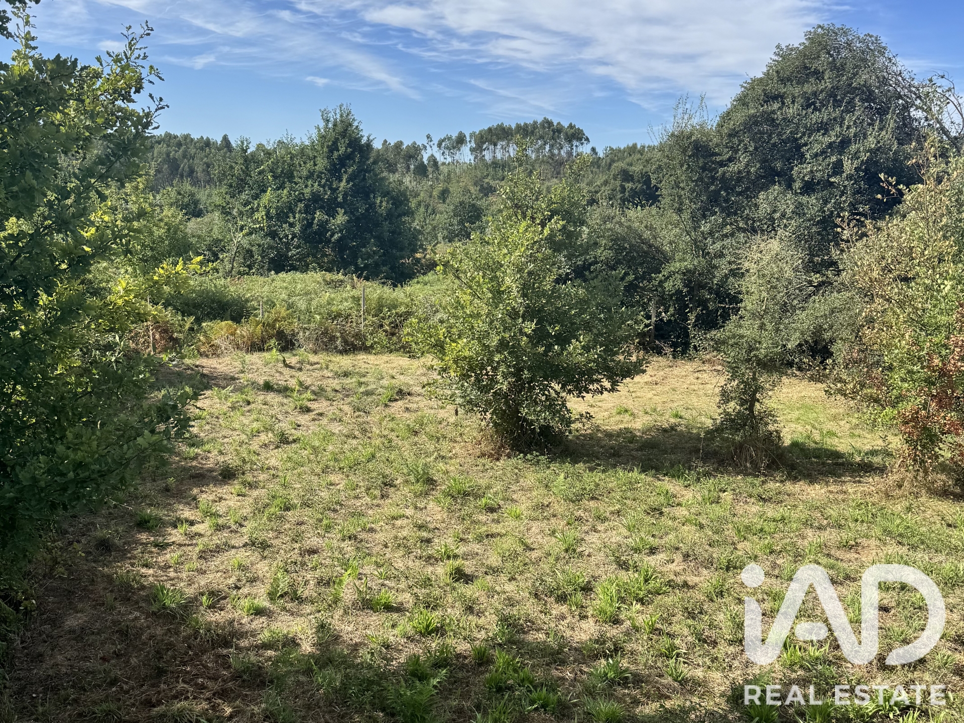 Moradia T0 à venda em Graça, Pedrógão Grande — foto 10