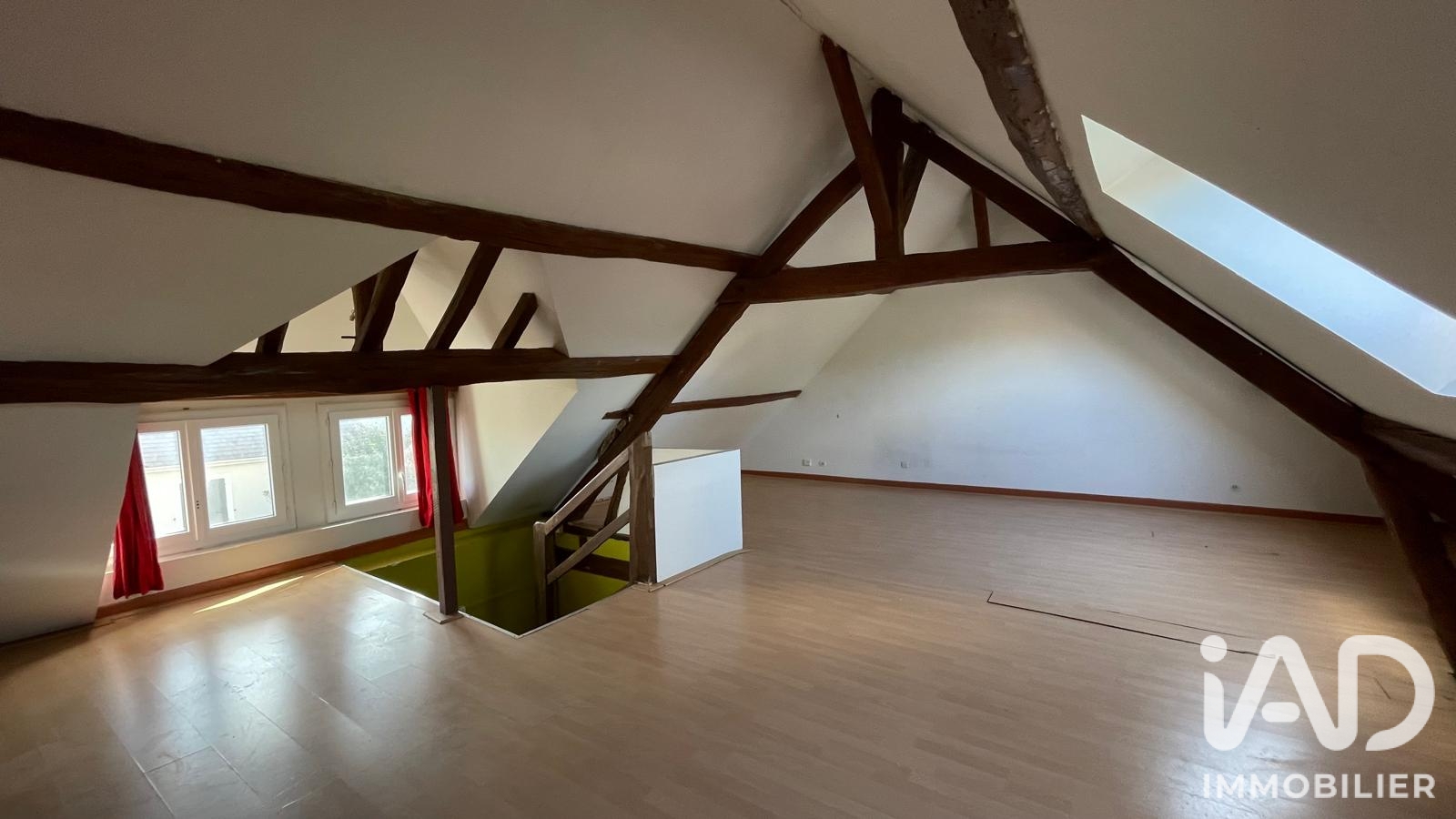 Vente maison à Noiseau (94880) : maison 7 pièces 163 m² - 2100464 — 21