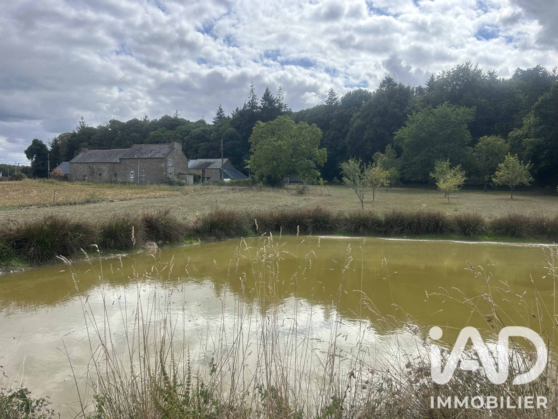 Vente maison à Ménéac (56490) : maison de campagne 5 pièces 103 m² - 2108966 — 5