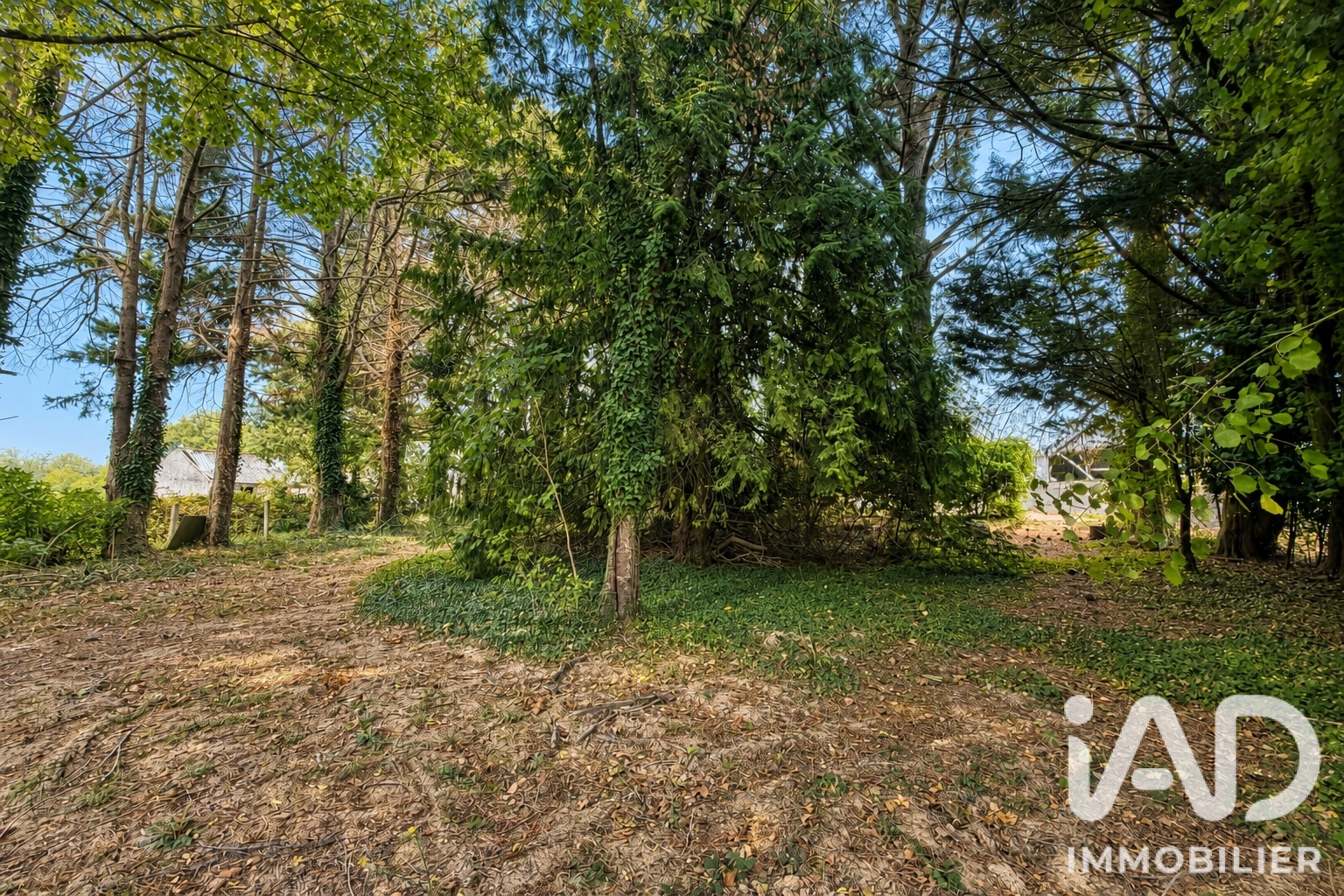 Vente maison à Bains-sur-Oust (35600) : maison 9 pièces 170 m² - 2109864 — 23