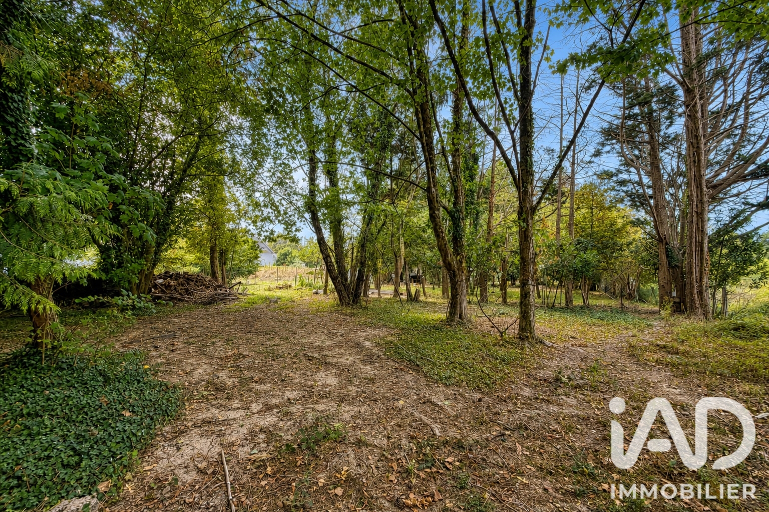 Vente maison à Bains-sur-Oust (35600) : maison 9 pièces 170 m² - 2109864 — 22