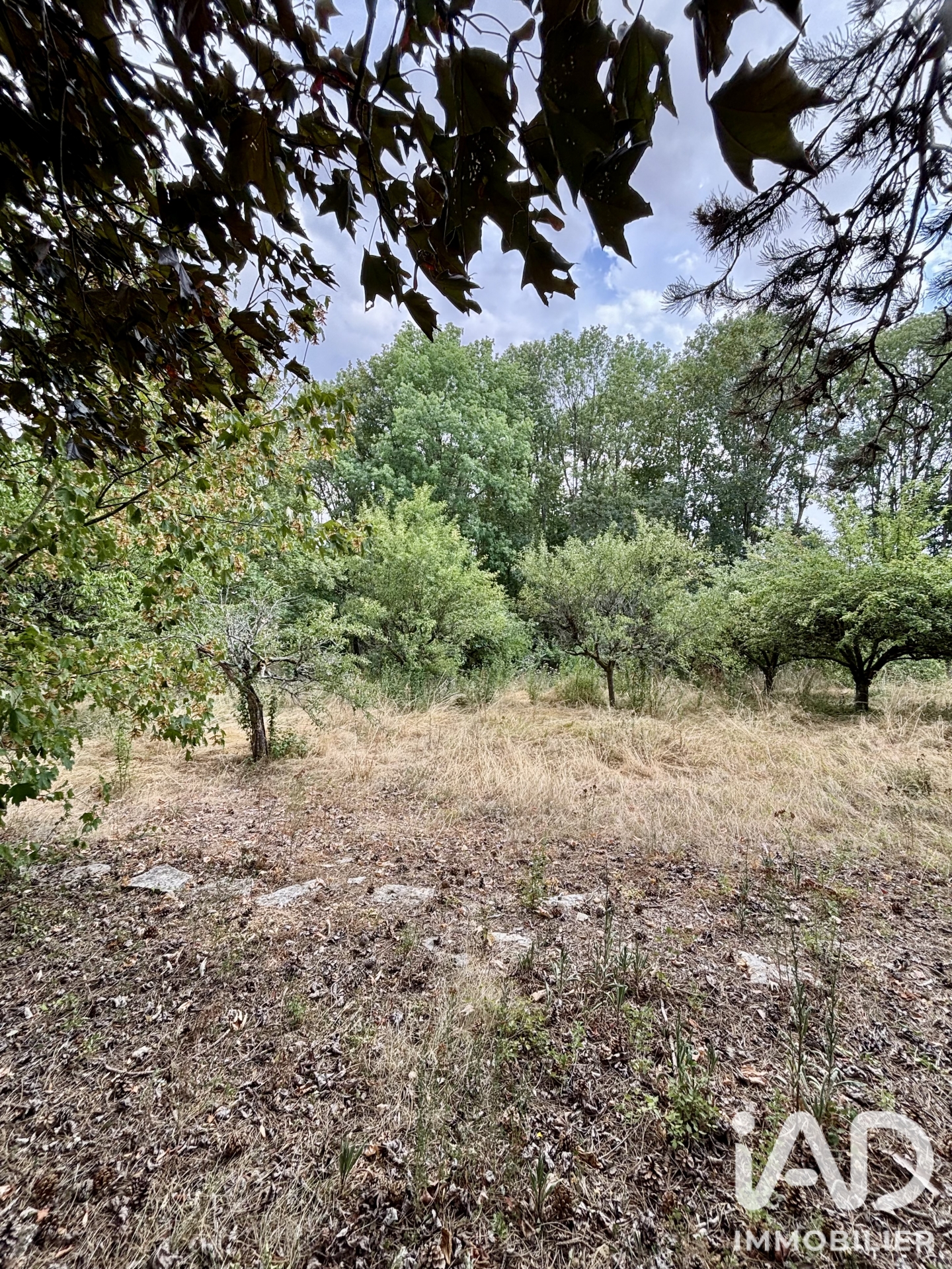 Vente maison à Soucy (89100) : maison 8 pièces 177 m² - 2108407 — 25