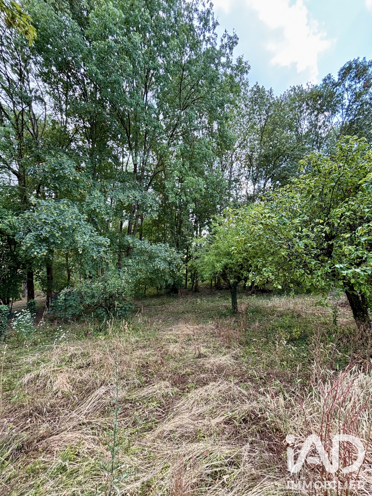 Vente maison à Soucy (89100) : maison 8 pièces 177 m² - 2108407 — 22