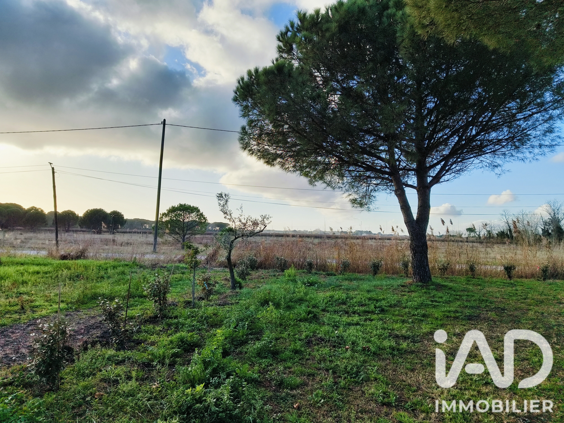 Vente maison à Saint Laurent D'Aigouze (30220) : mas 9 pièces 263 m² - 2106009 — 12