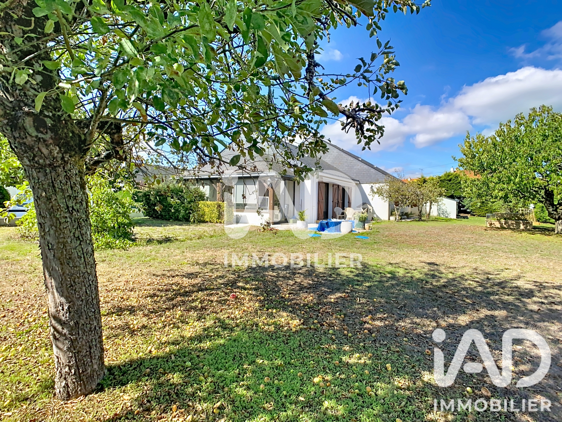 Vente maison à Ancenis-Saint-Géréon (44150) : maison traditionnelle 6 pièces 151 m² - 2105069 — 9
