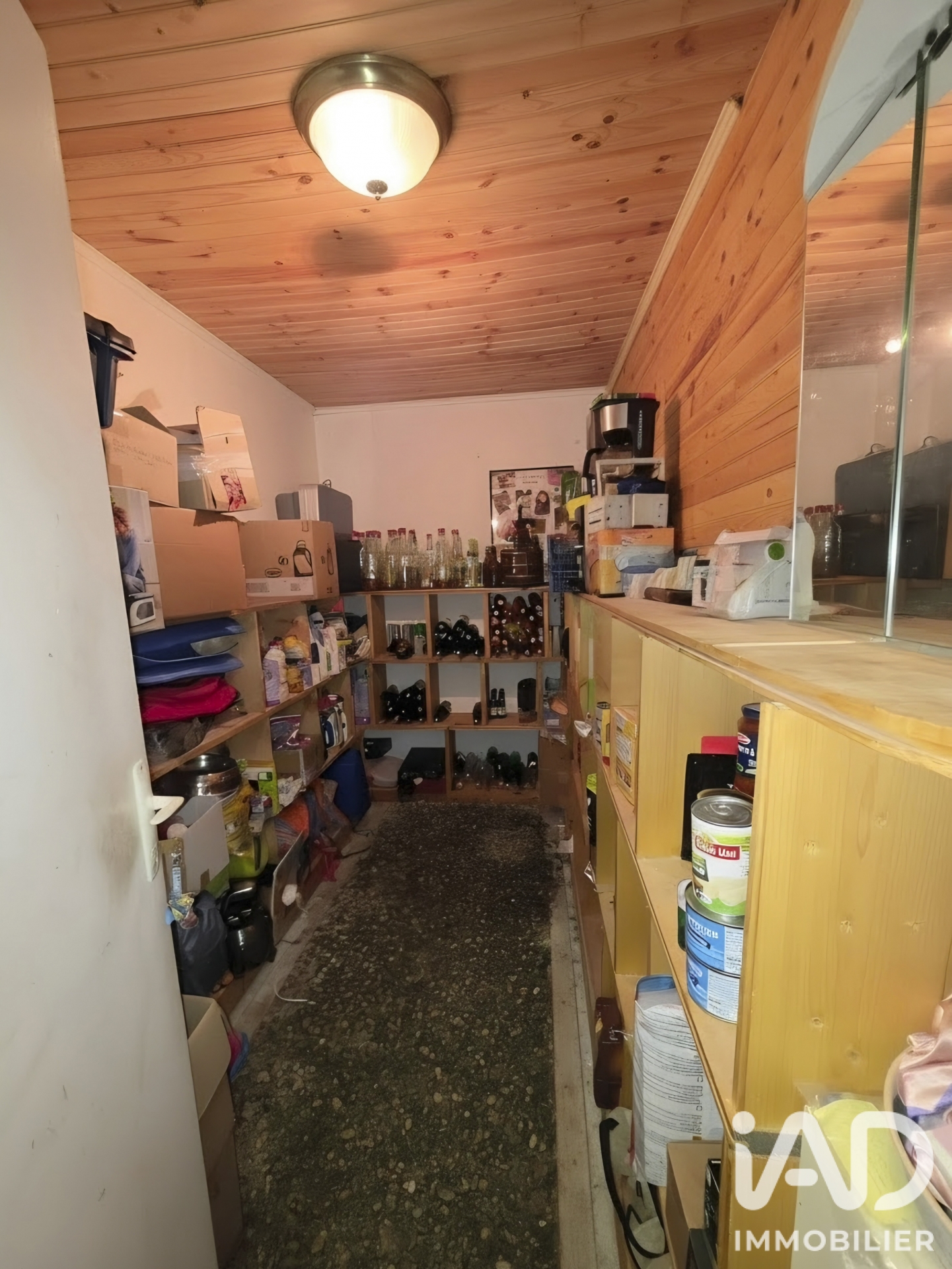 Vente maison à Allonzier-la-Caille (74350) : maison 6 pièces 200 m² - 2109874 — 13