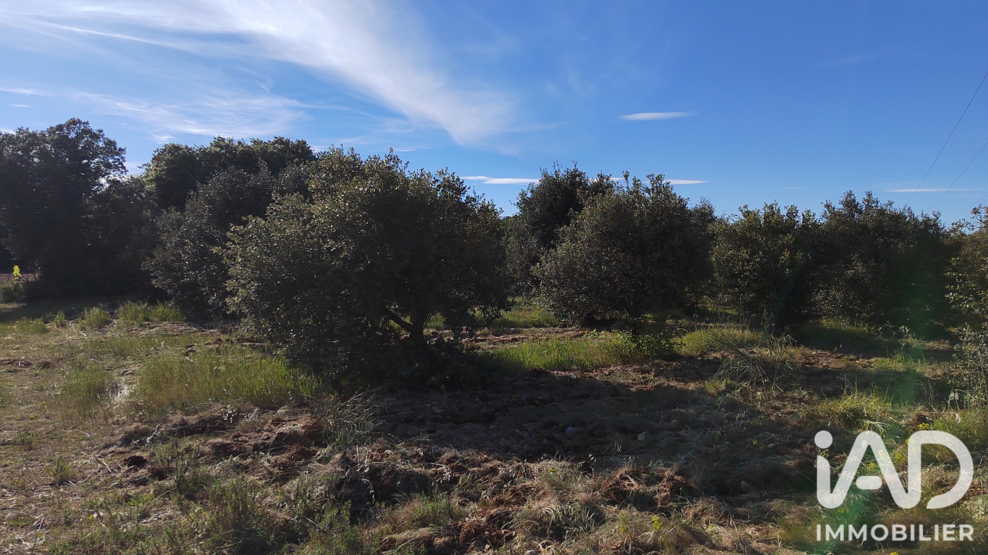 Vente Truffière 4 300 m²