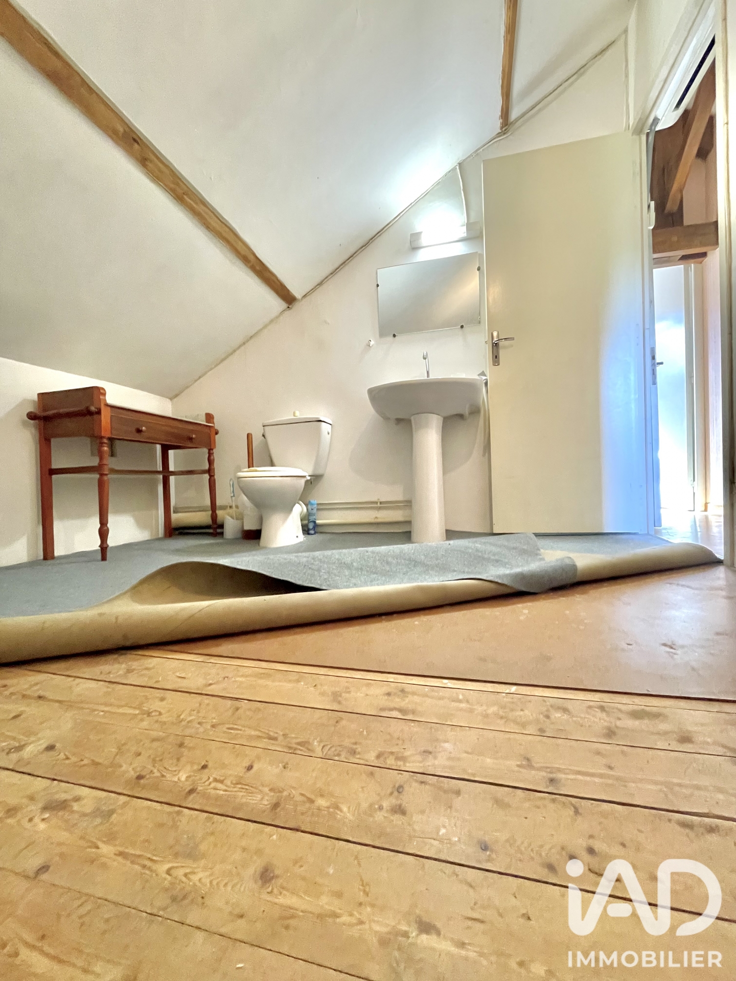 Vente maison à Ciron (36300) : maison de campagne 7 pièces 113 m² - 2106852 — 22