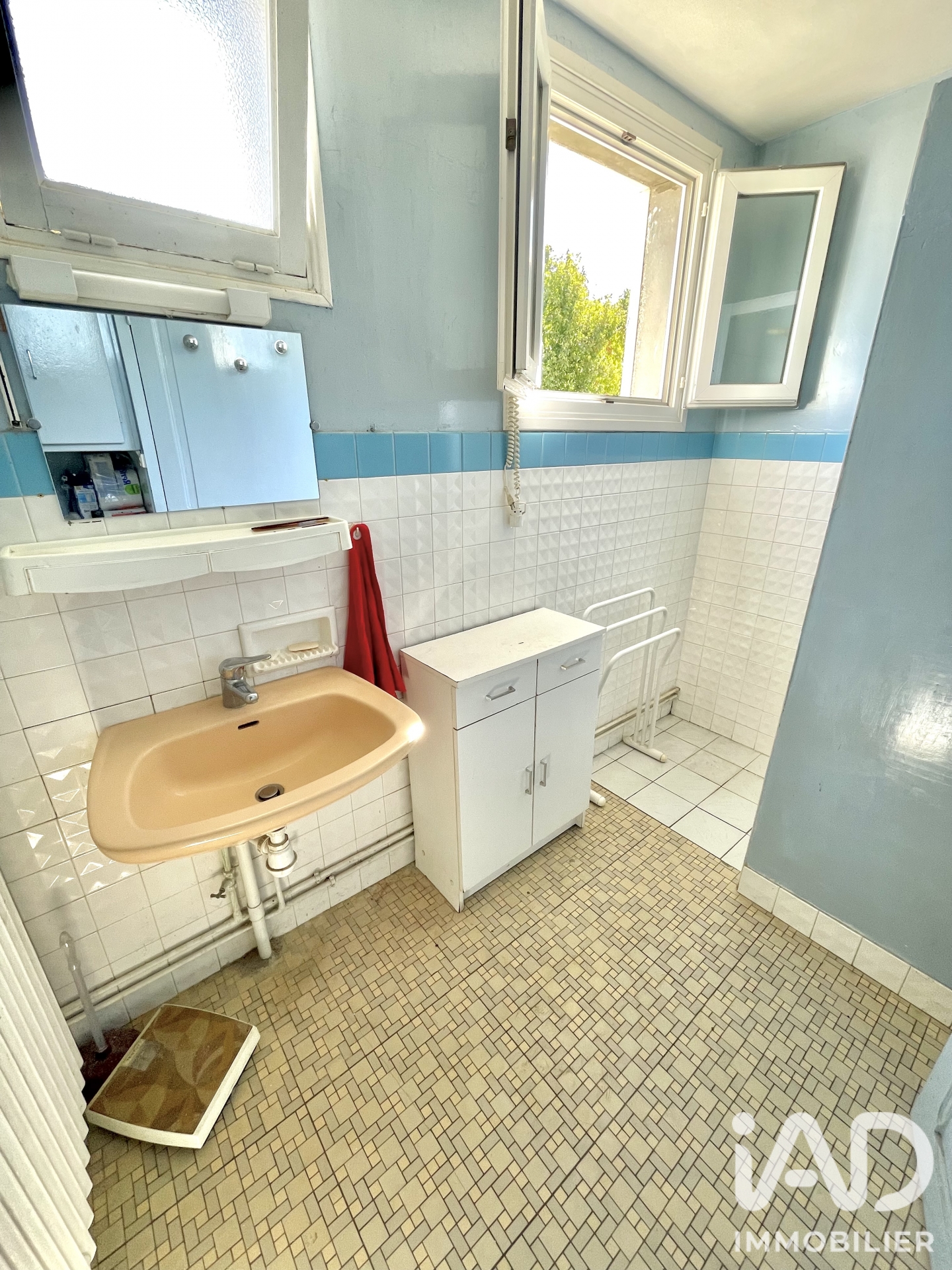 Vente maison à Ciron (36300) : maison de campagne 7 pièces 113 m² - 2106852 — 15