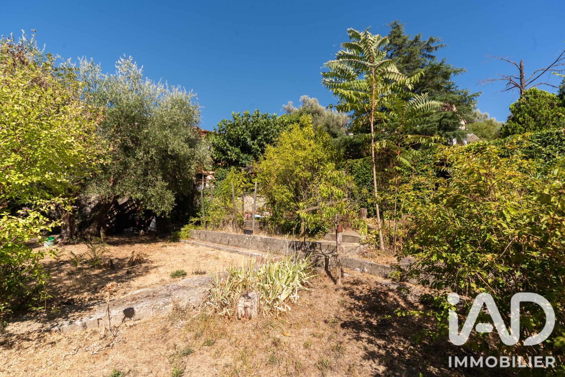 Vente maison à Mouans-Sartoux (06370) : maison 3 pièces 118 m² - 2108902 — 4