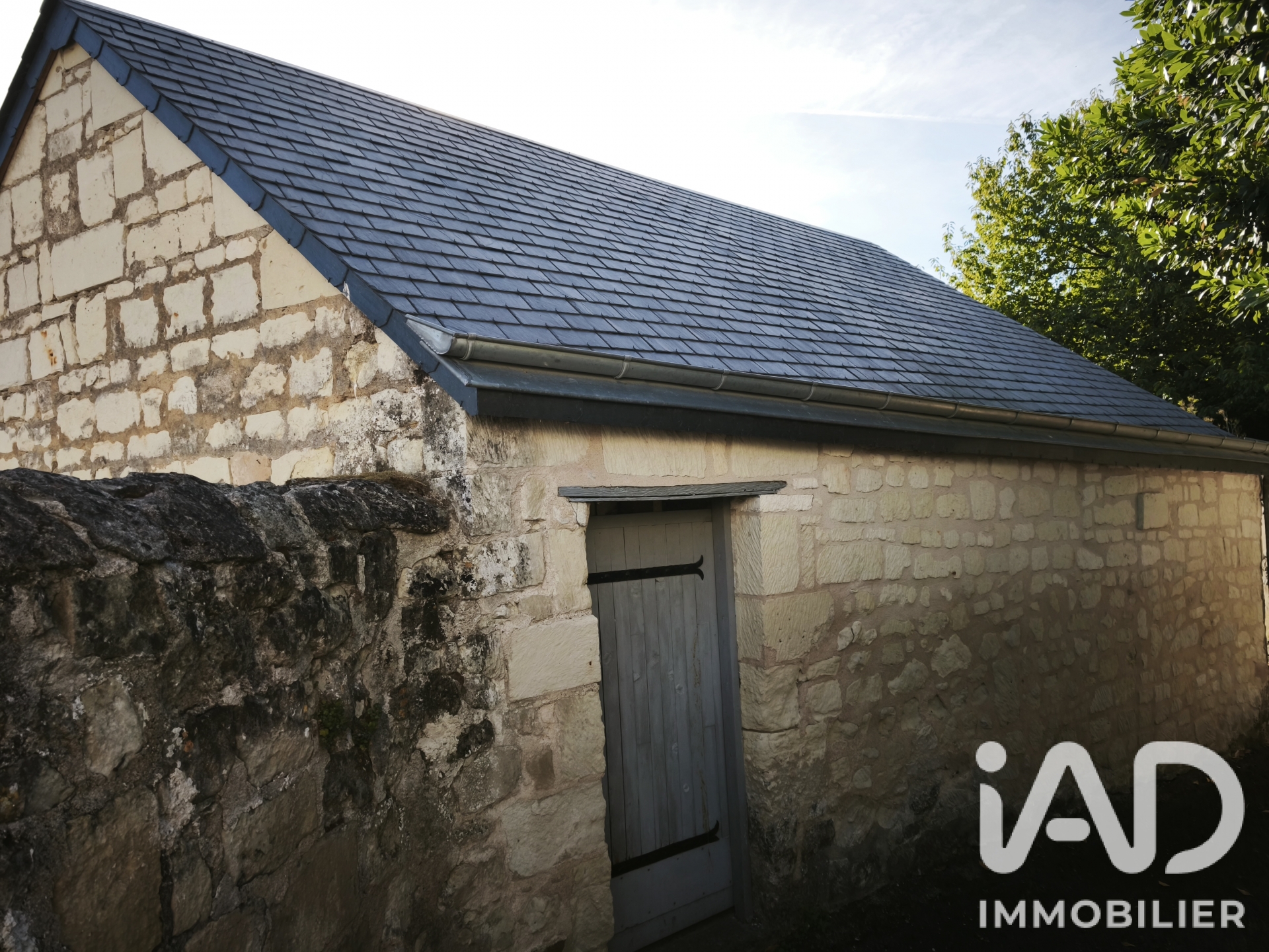 Vente maison à Candes-Saint-Martin (37500) : maison 12 pièces 258 m² - 2111845 — 12