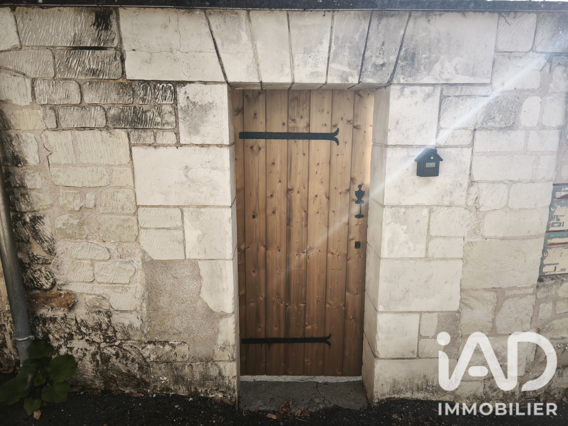 Vente maison à Candes-Saint-Martin (37500) : maison 12 pièces 258 m² - 2111845 — 13