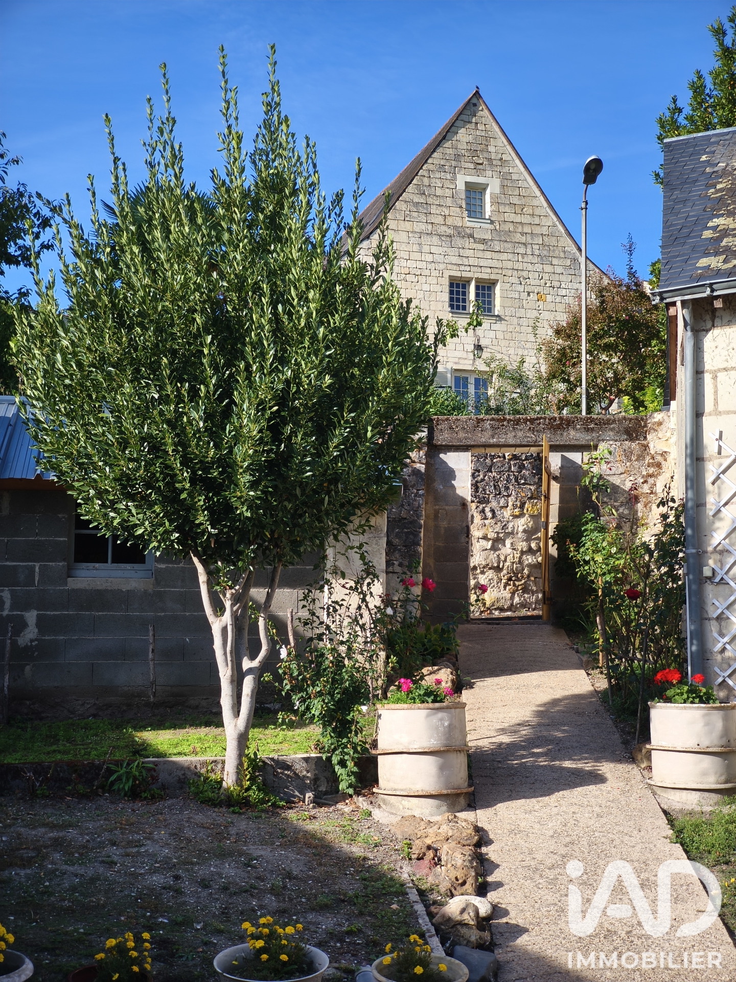Vente maison à Candes-Saint-Martin (37500) : maison 12 pièces 258 m² - 2111845 — 15