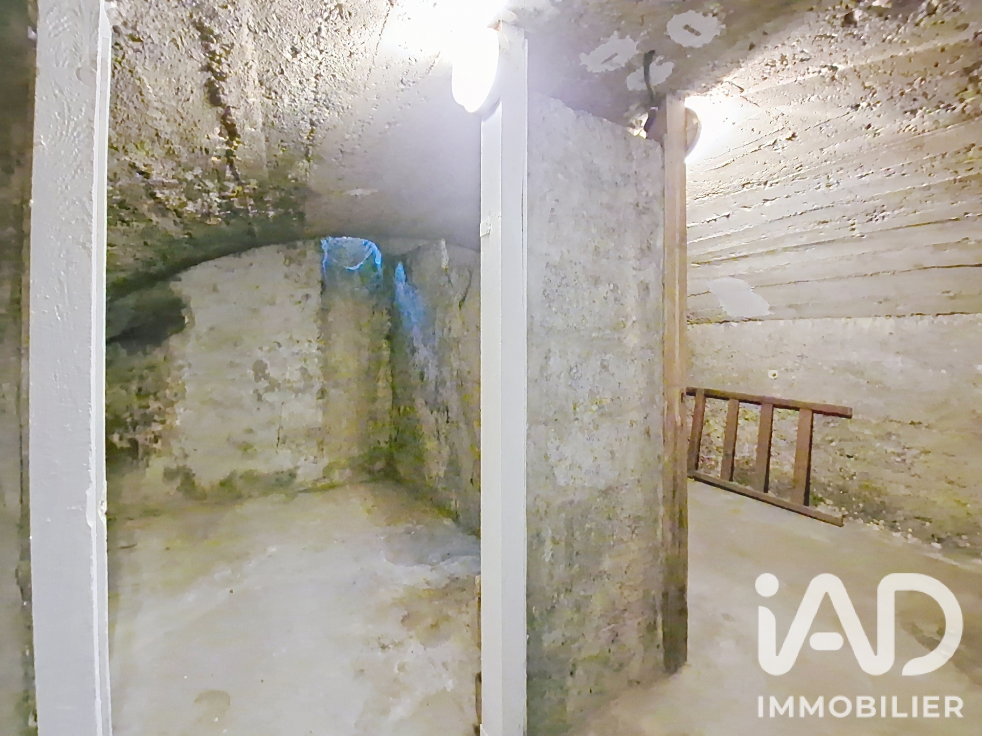 Vente maison à Pont-de-Chéruy (38230) : maison 5 pièces 111 m² - 2104952 — 20