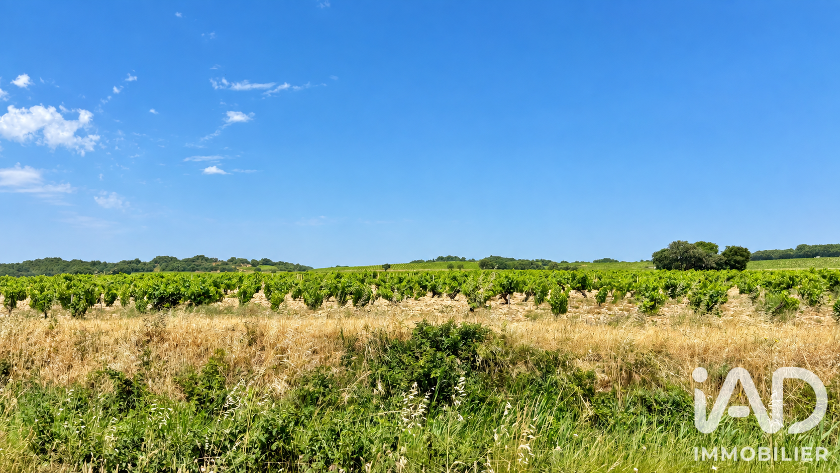 Terrain à vendre à Bédarrides — 199 000 € — IAD France