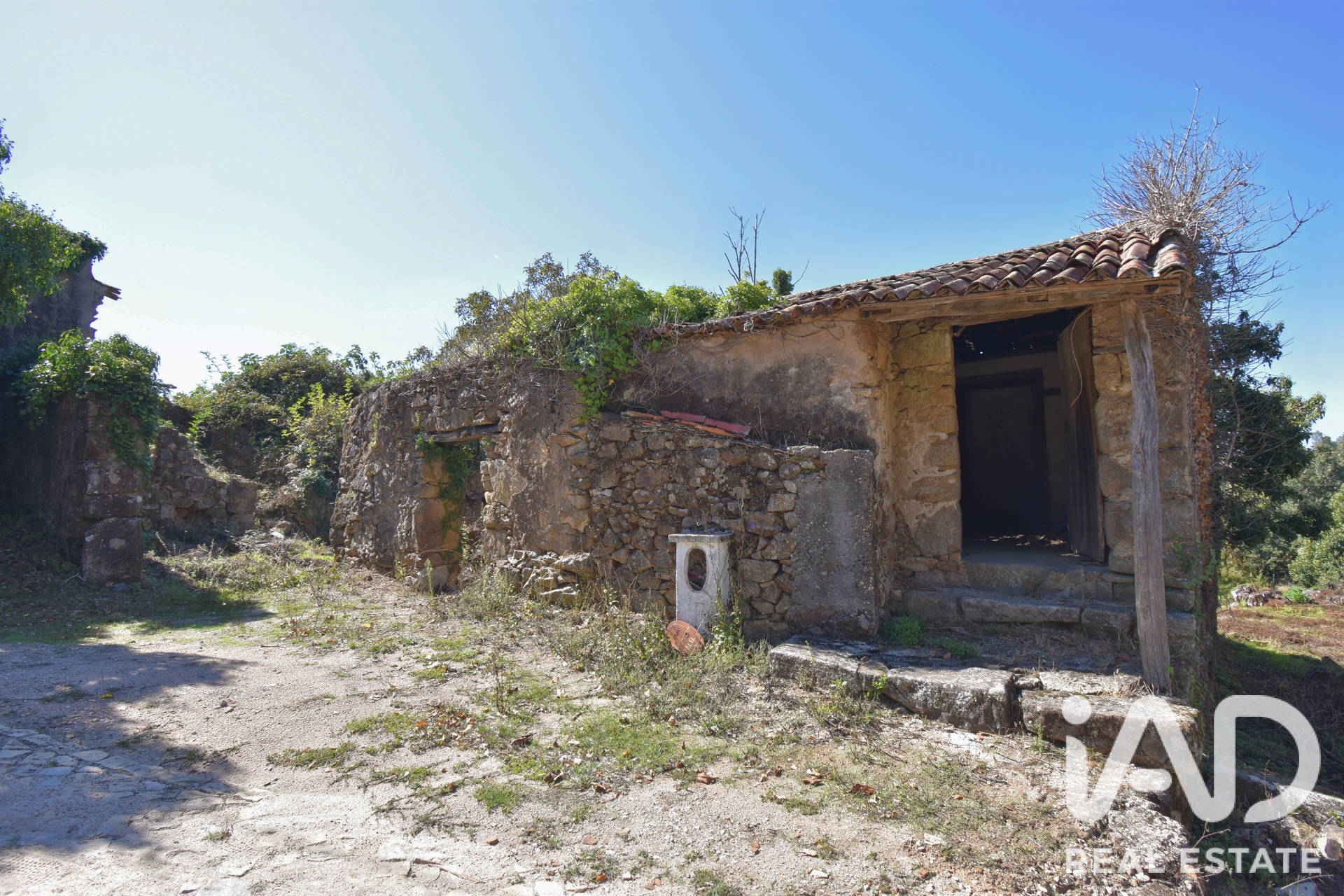Casa/Moradia  em Espinhal