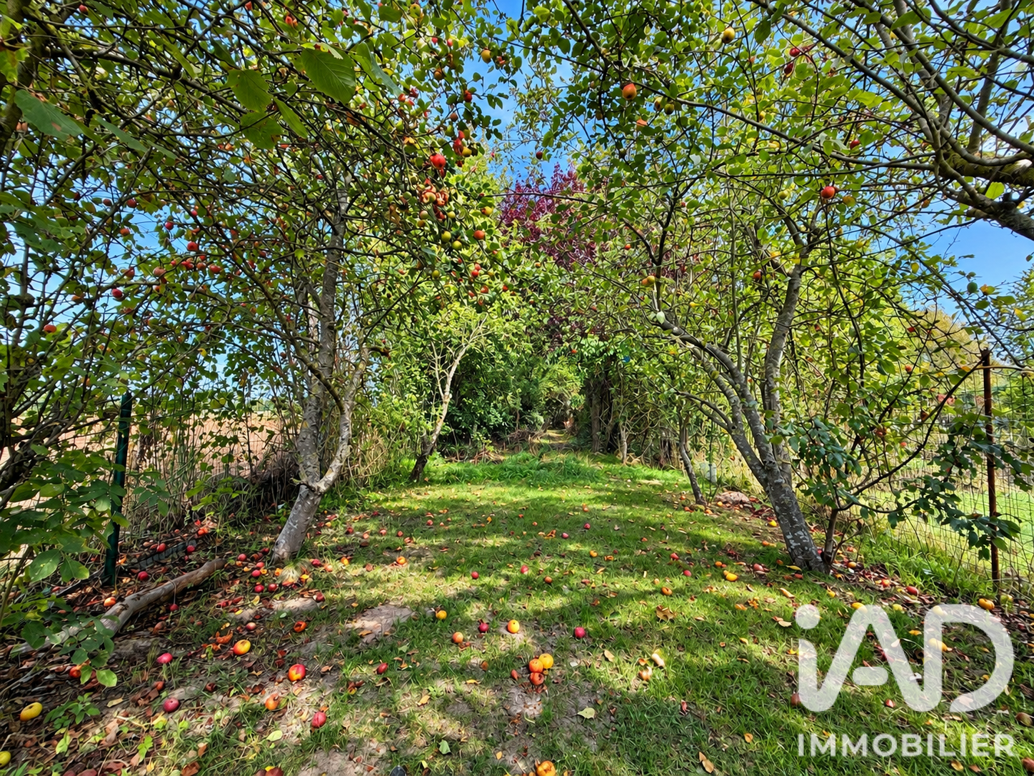 Vente Maison de village 3 pièces