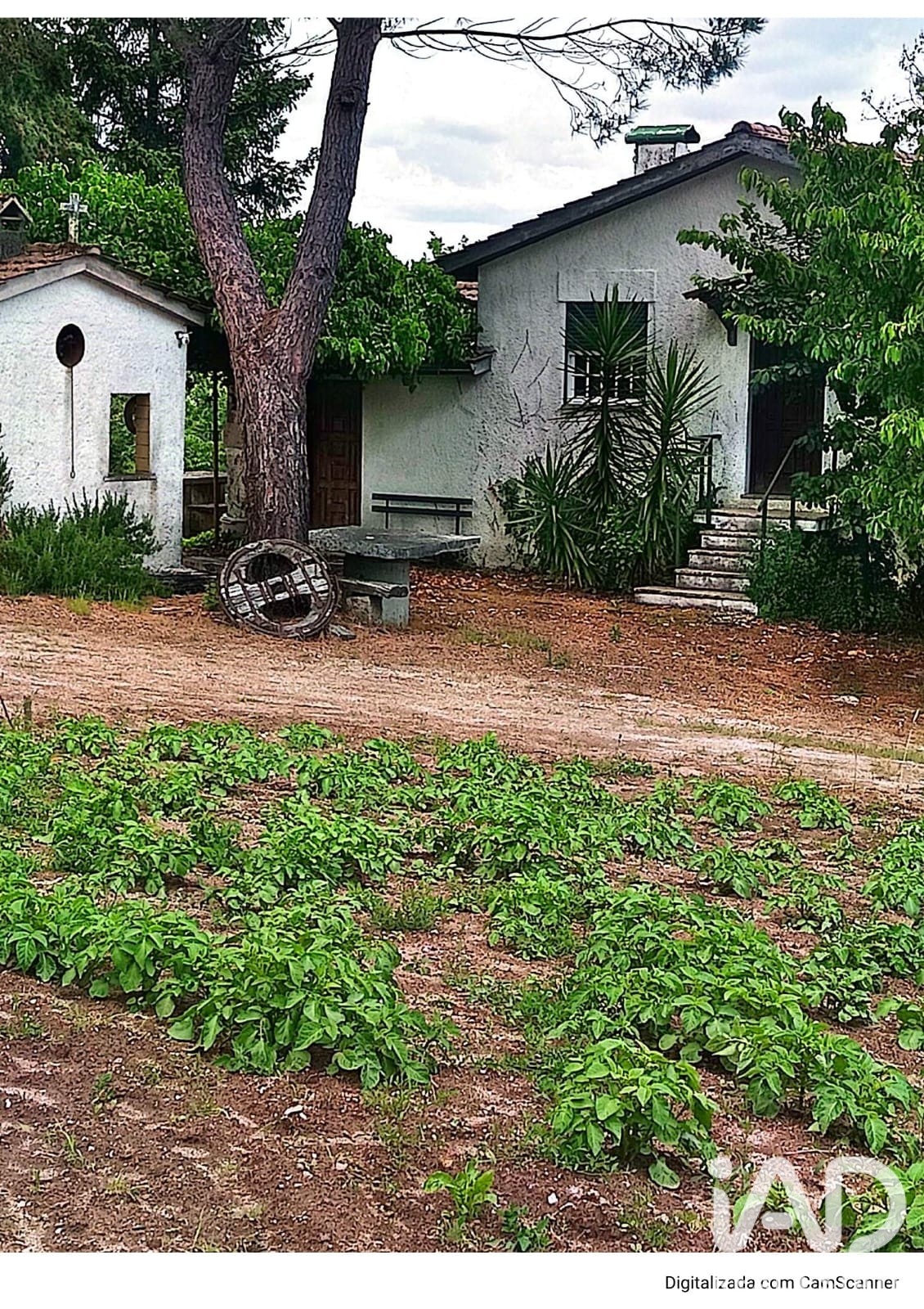 Terreno  em Satao