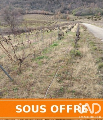 Vente Terrain agricole 65 360 m²