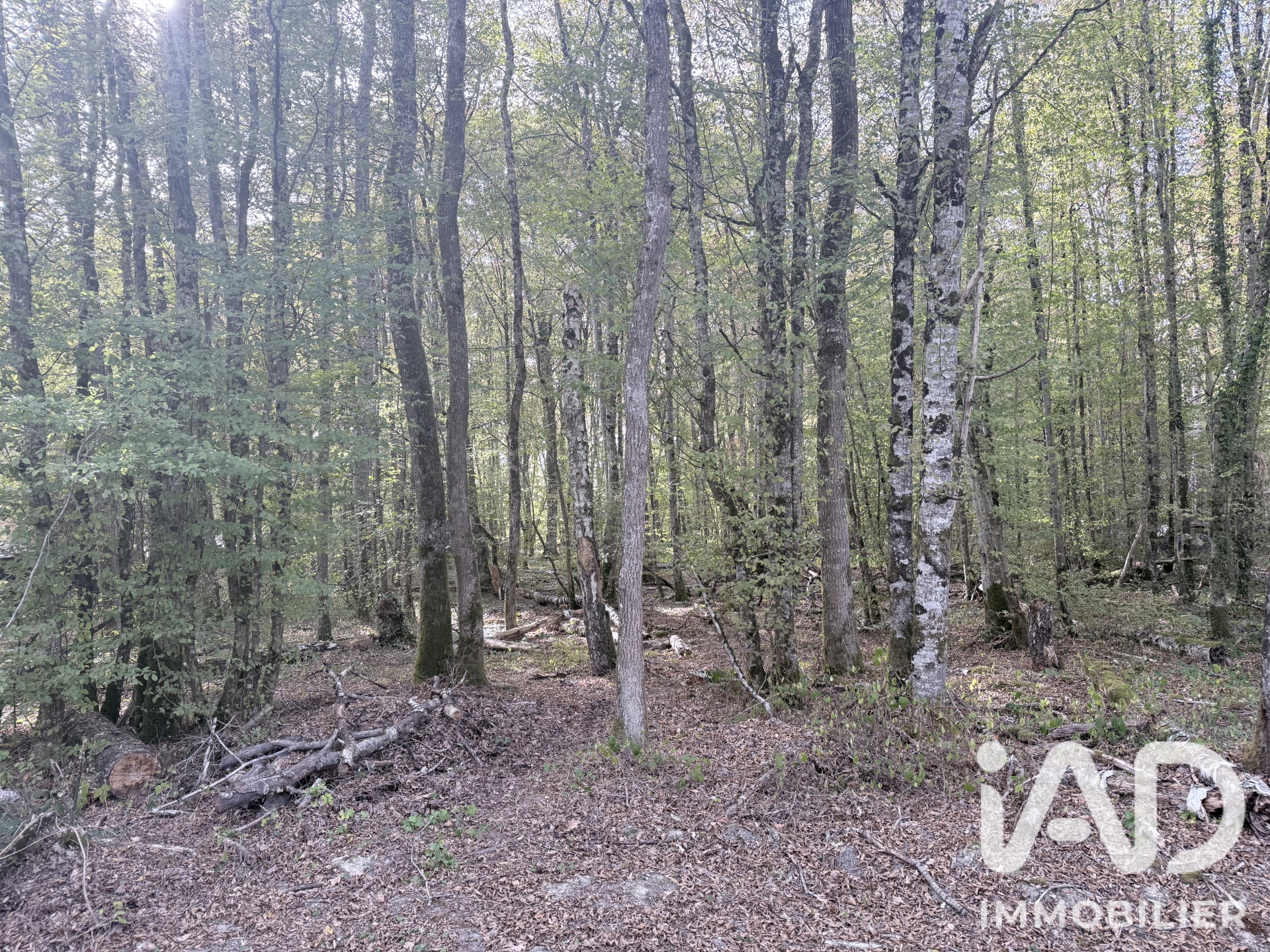 Vente Terrain à bâtir 2 477 m²